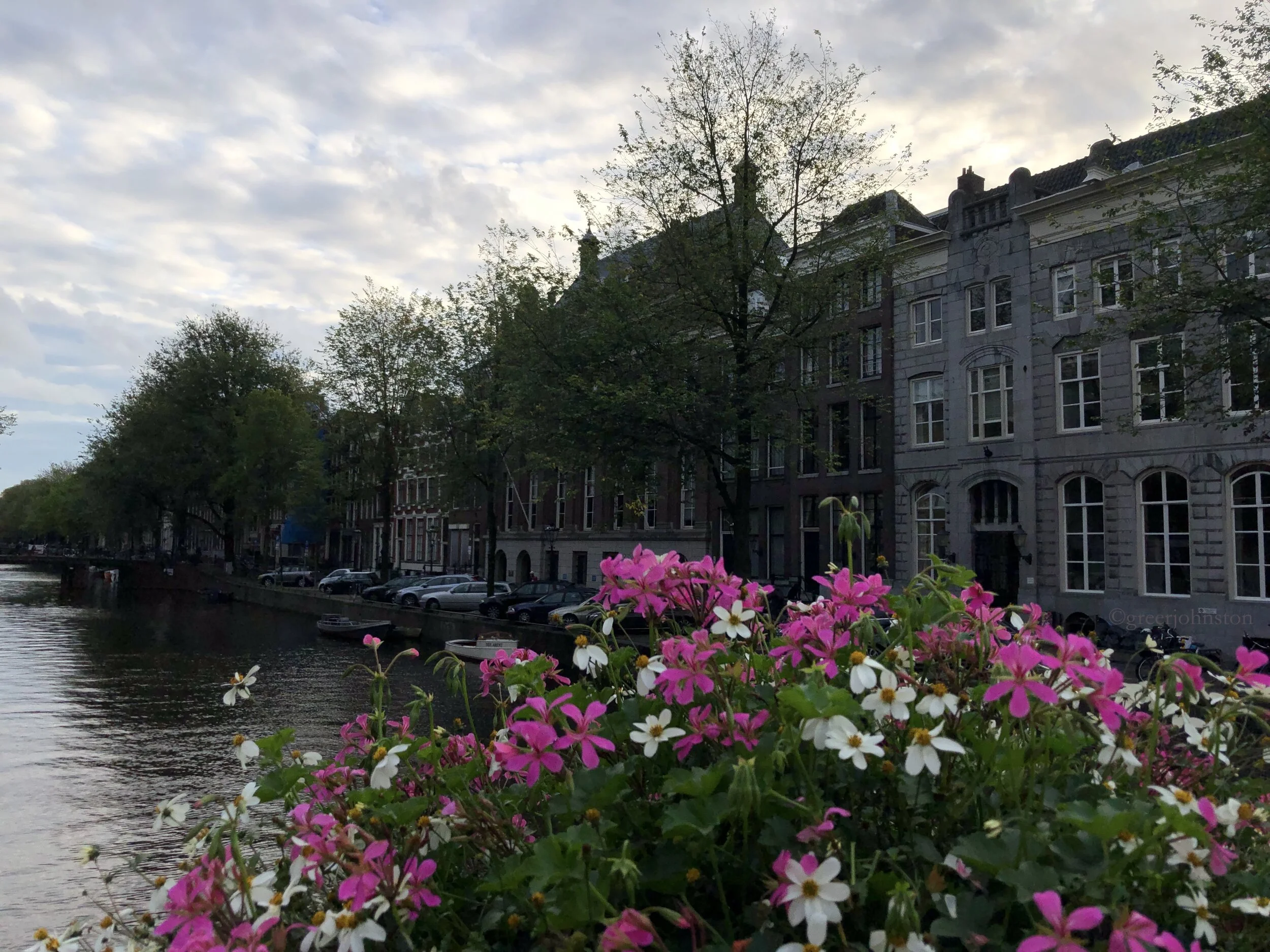 Flowers in Amsterdam
