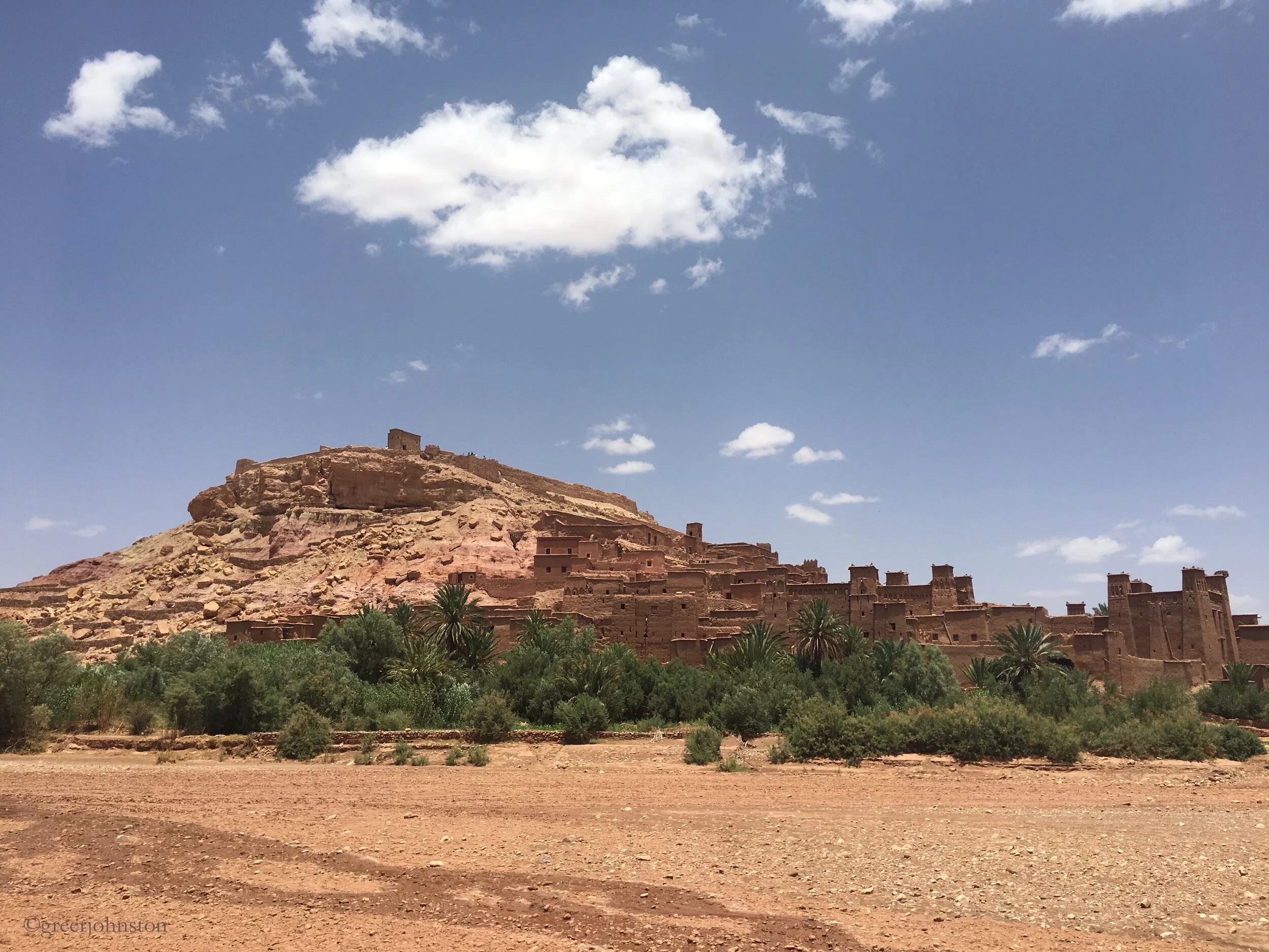 The Lemon Book Club - The Alchemist