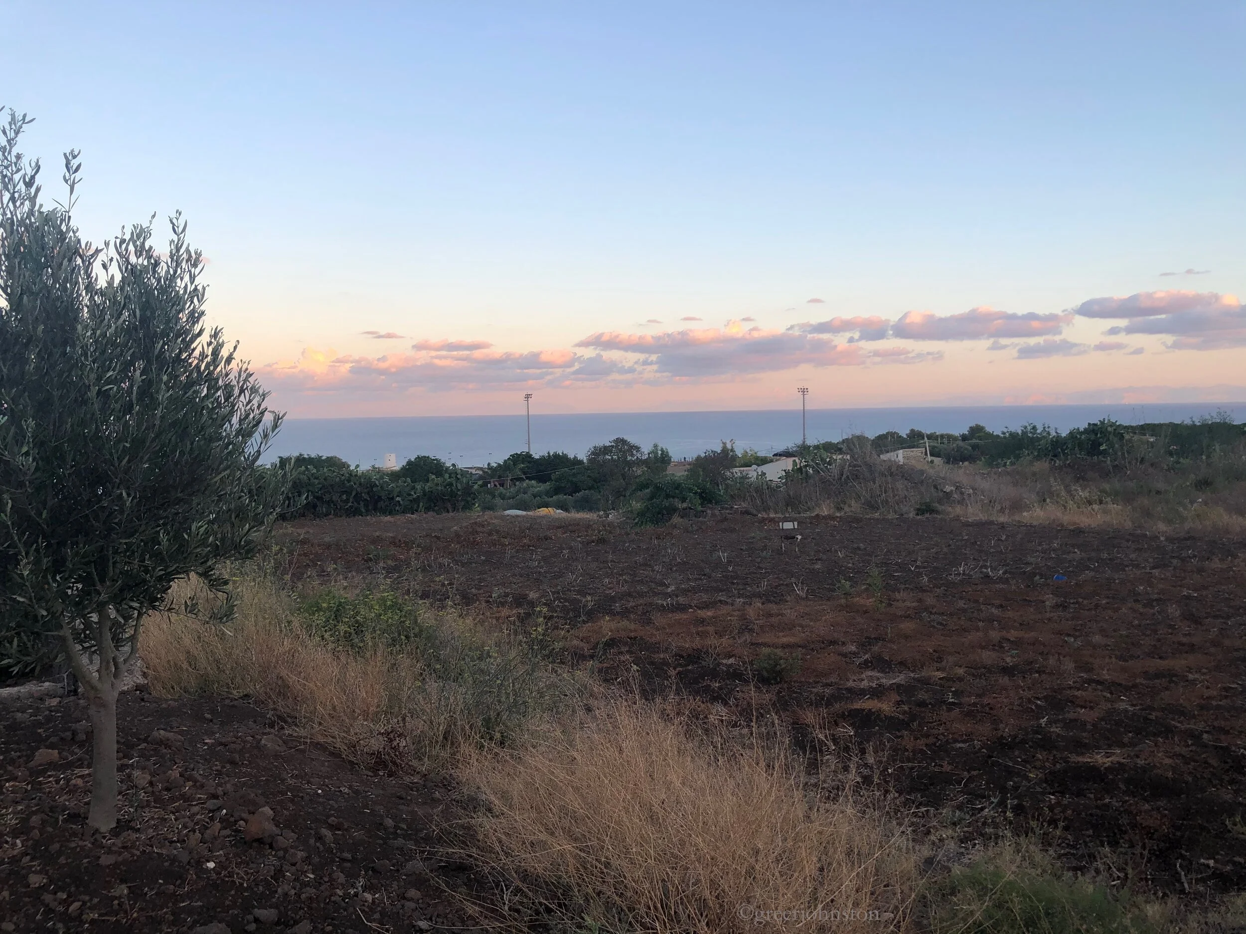 Il giardino - the garden