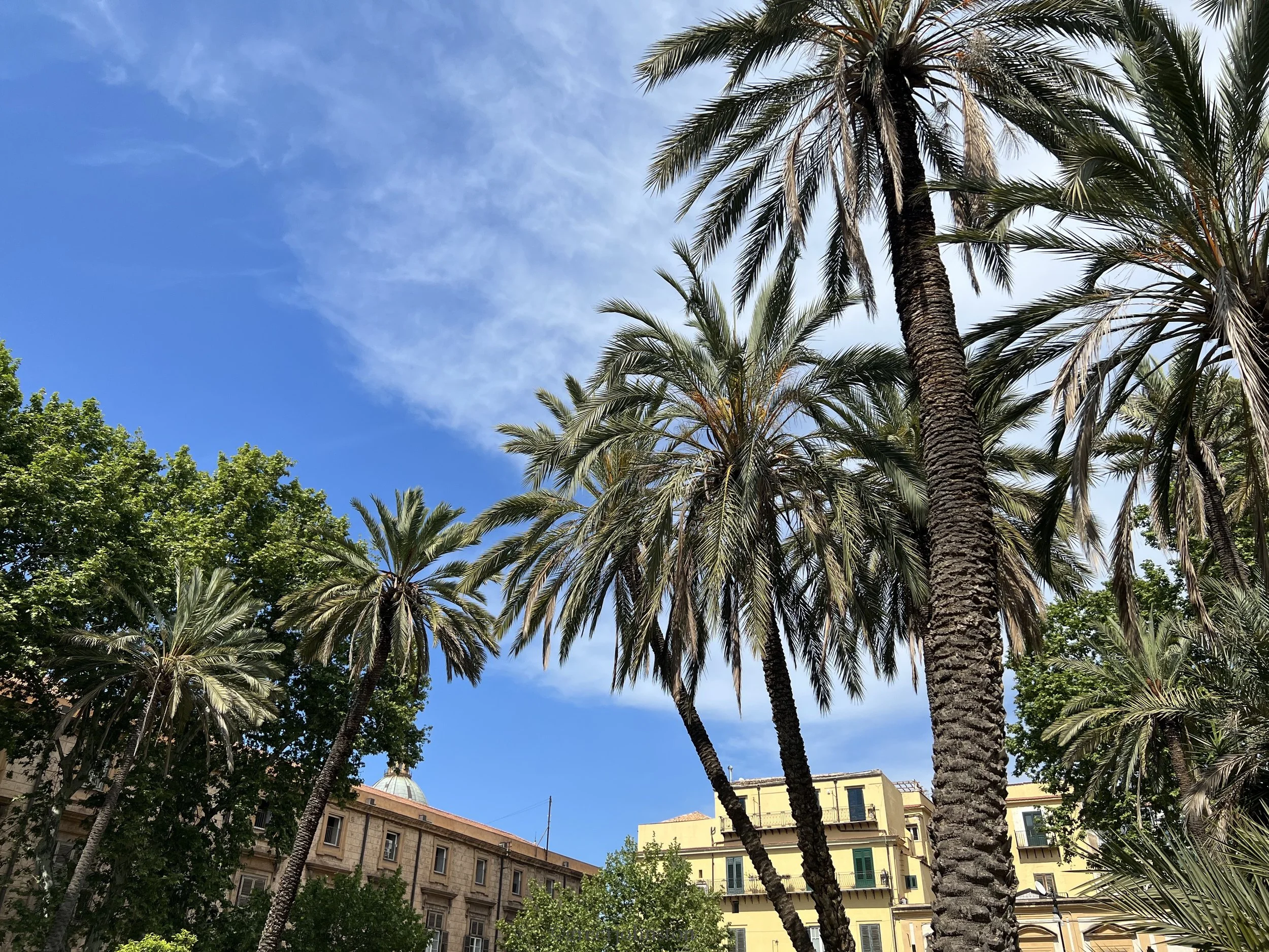 The Lemon Lifestyle - Sun Safety