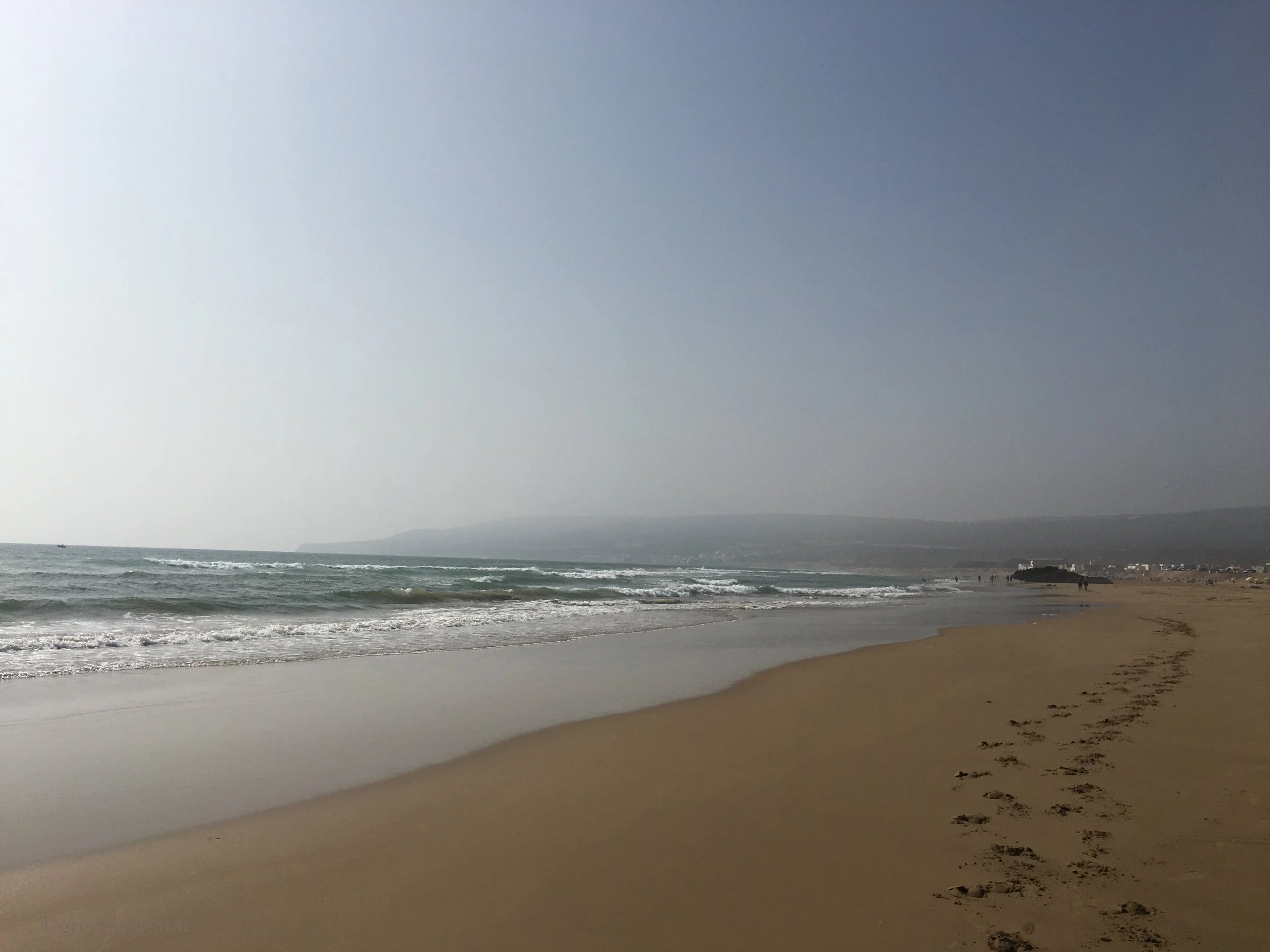 The Lemon Book Club - The Little Prince