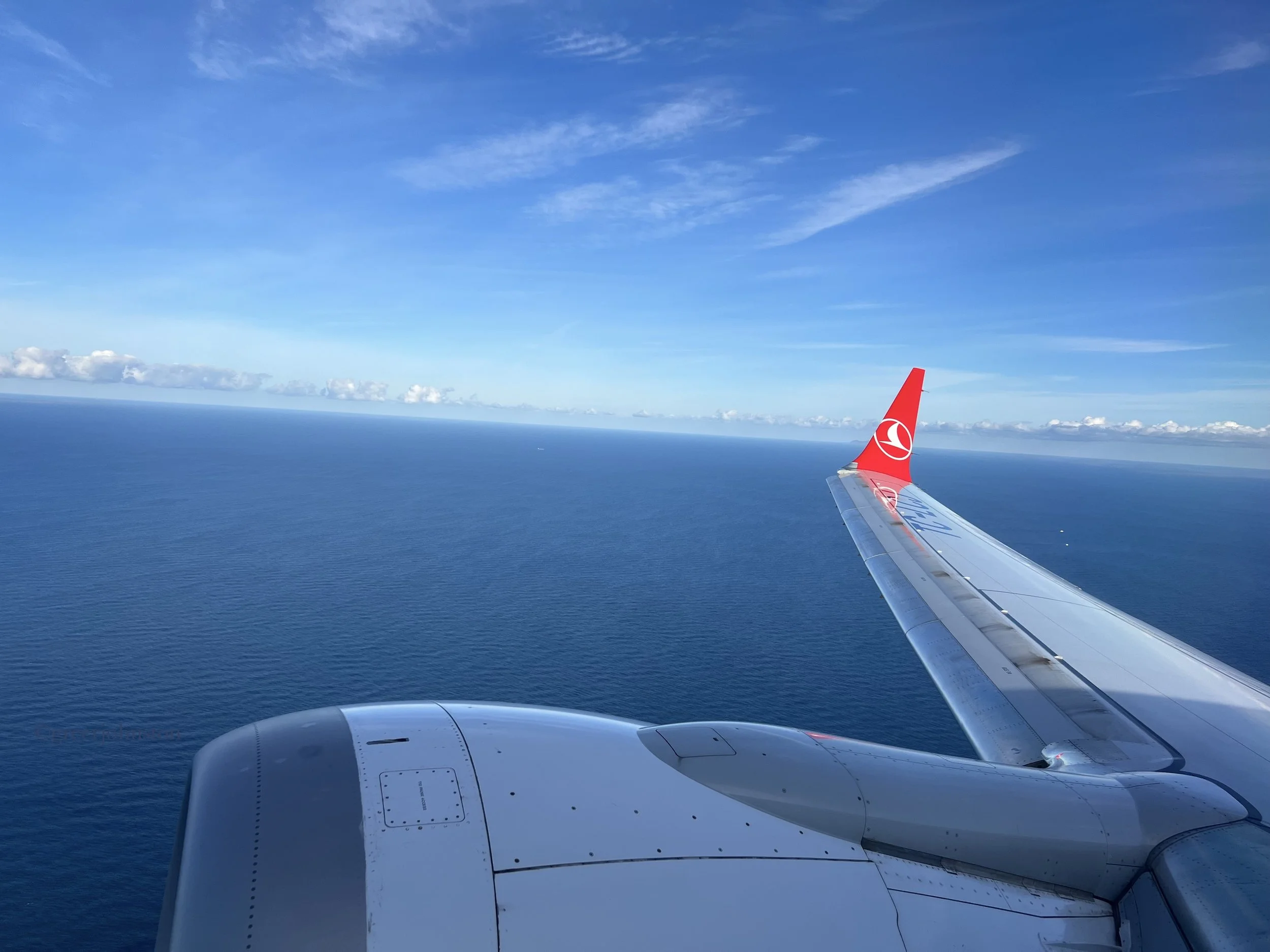 The Lemon Recommends - Turkish Airlines