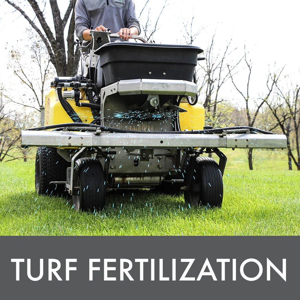 Turf Fertilization