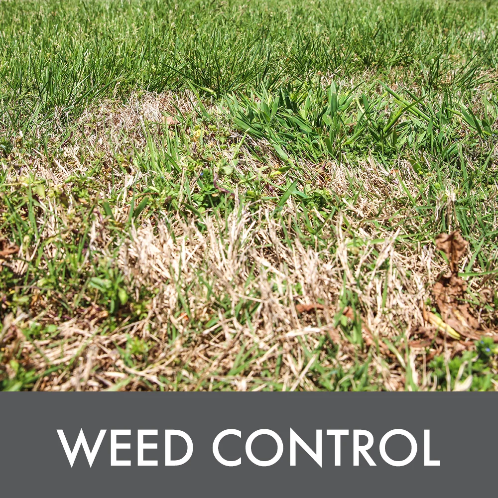 Weed Control