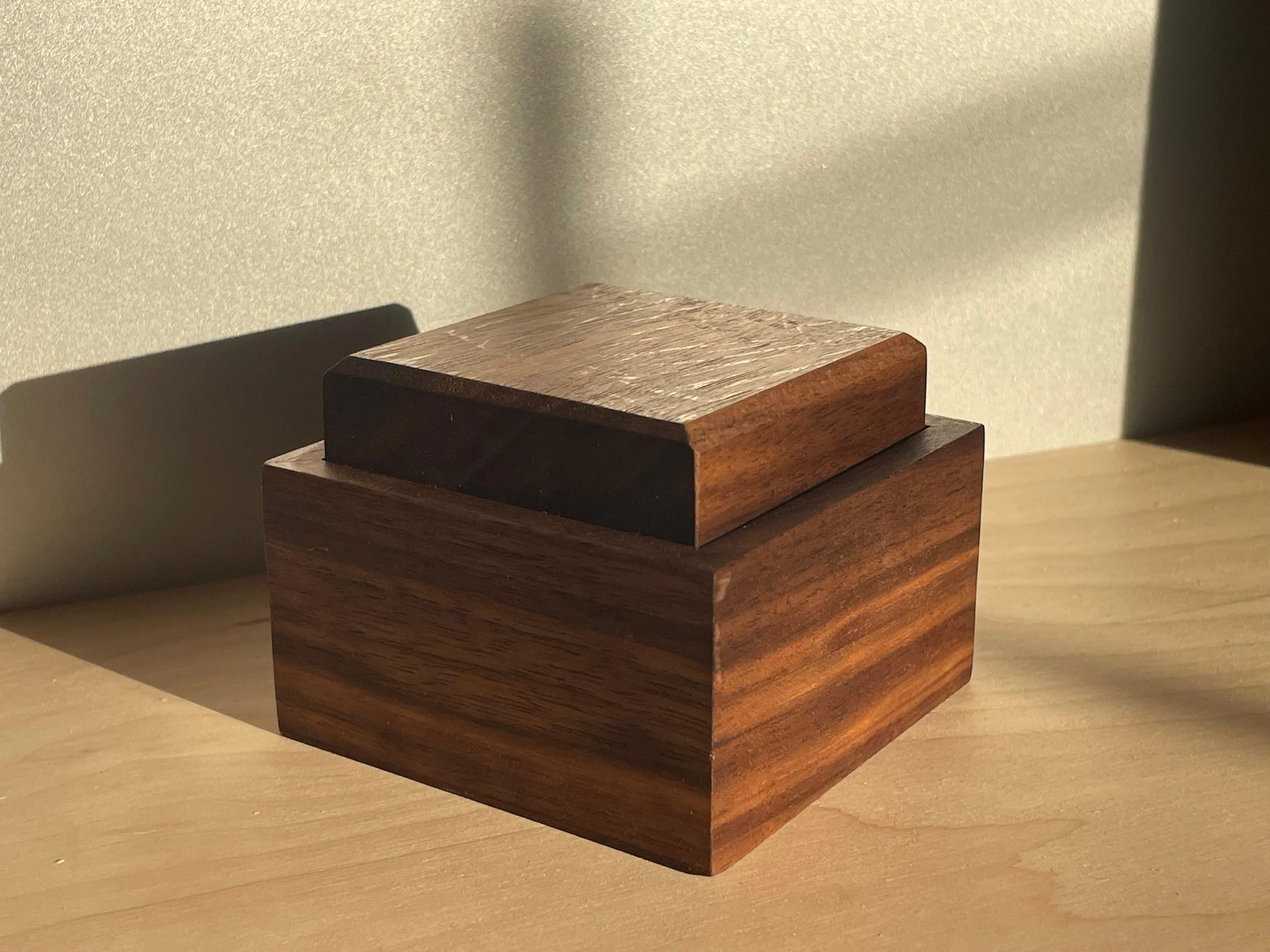 WhatsApp Image 2025-12-16 at 15.21.26_3ea173ec.jpg