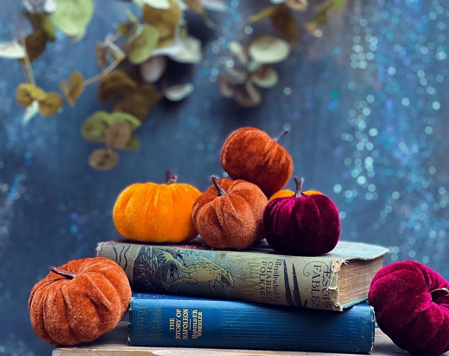 Mix of velvet pumpkins