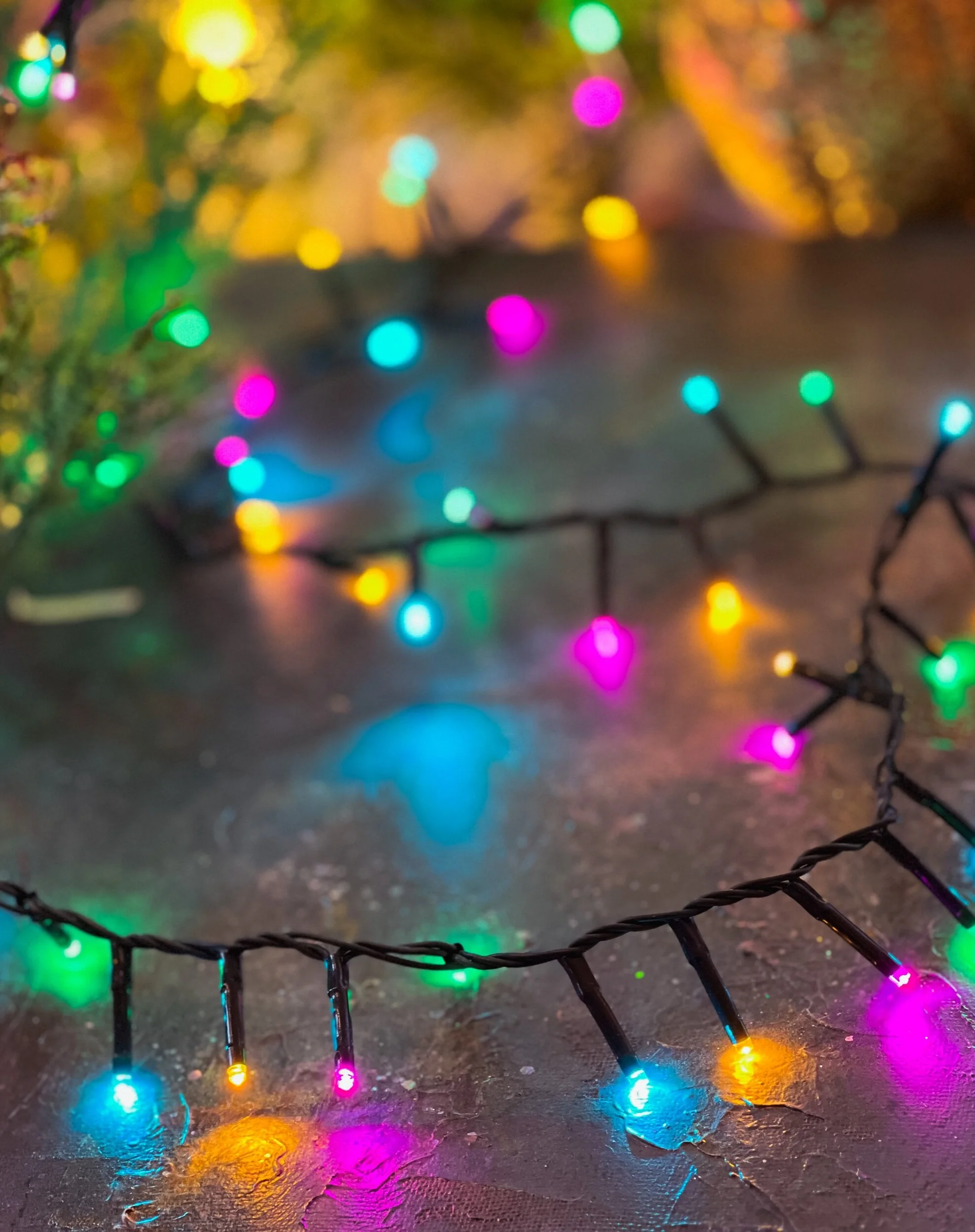 2437402B-42FA-407C-A4AF-286FC7417D03