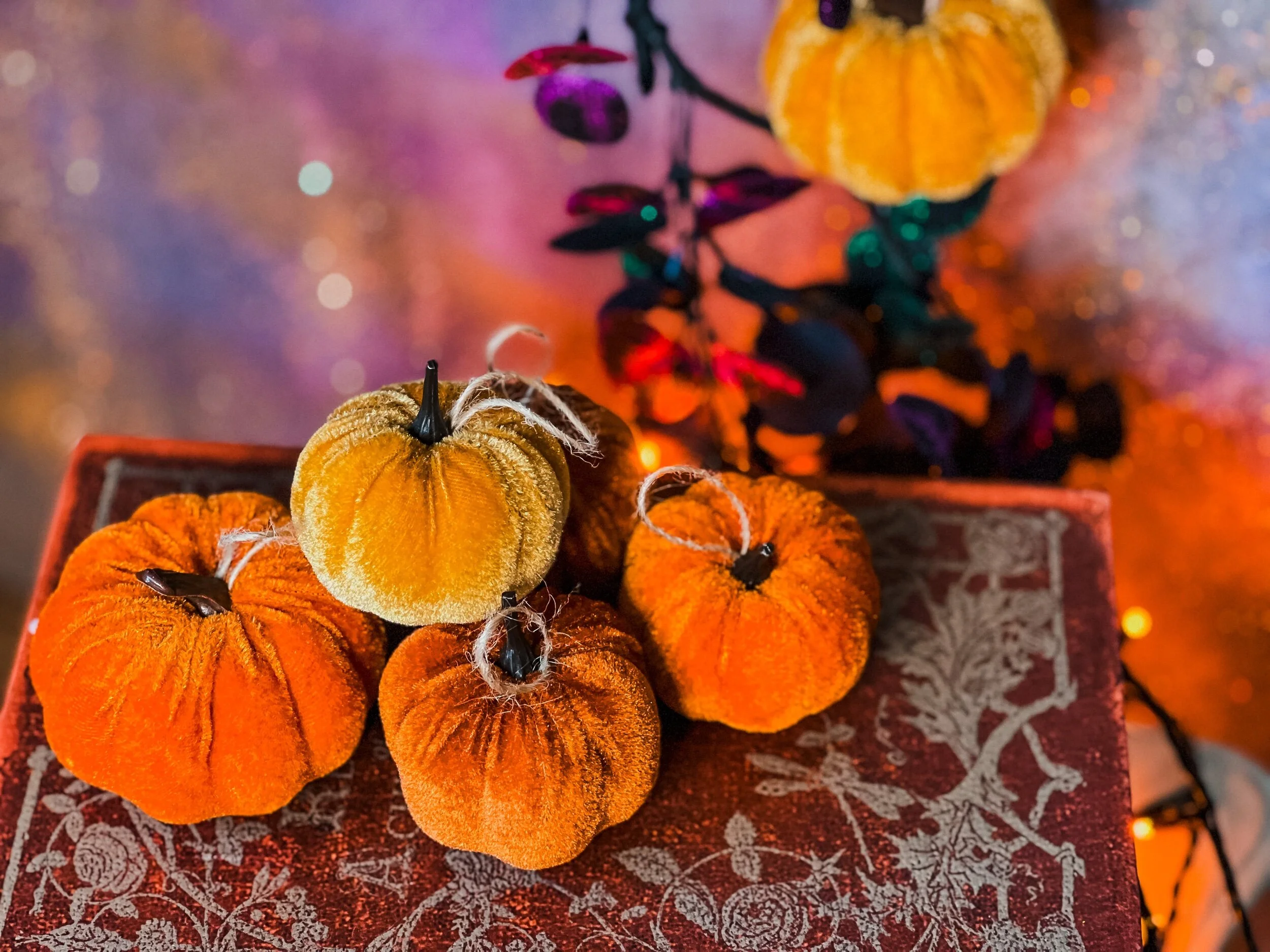 Nine Velvet Hanging Pumpkins