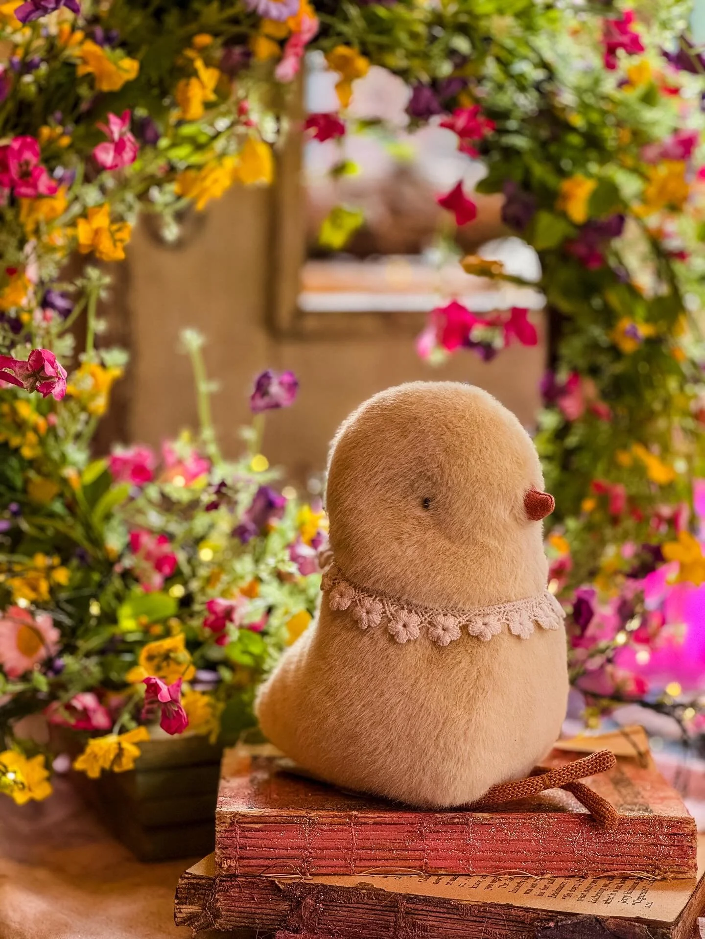 Today has truly felt like spring at last ✨🐣🌻