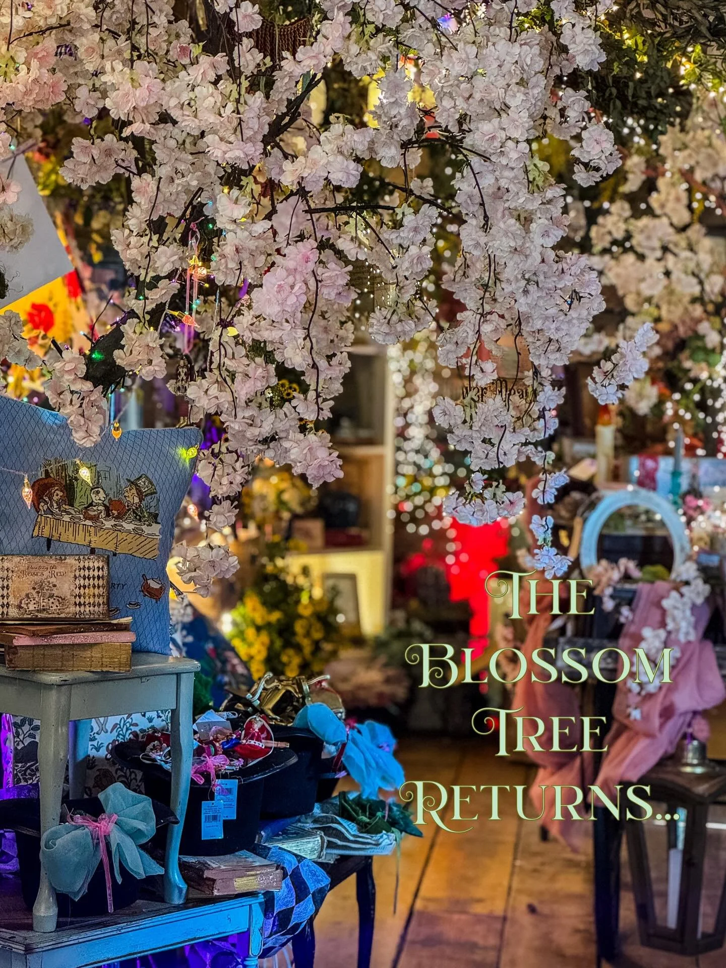 The blossom tree has returned to Prim, after her long winter sleep 🌸✨ no one knows why she returns to us, but she always does when April comes ✨🌸