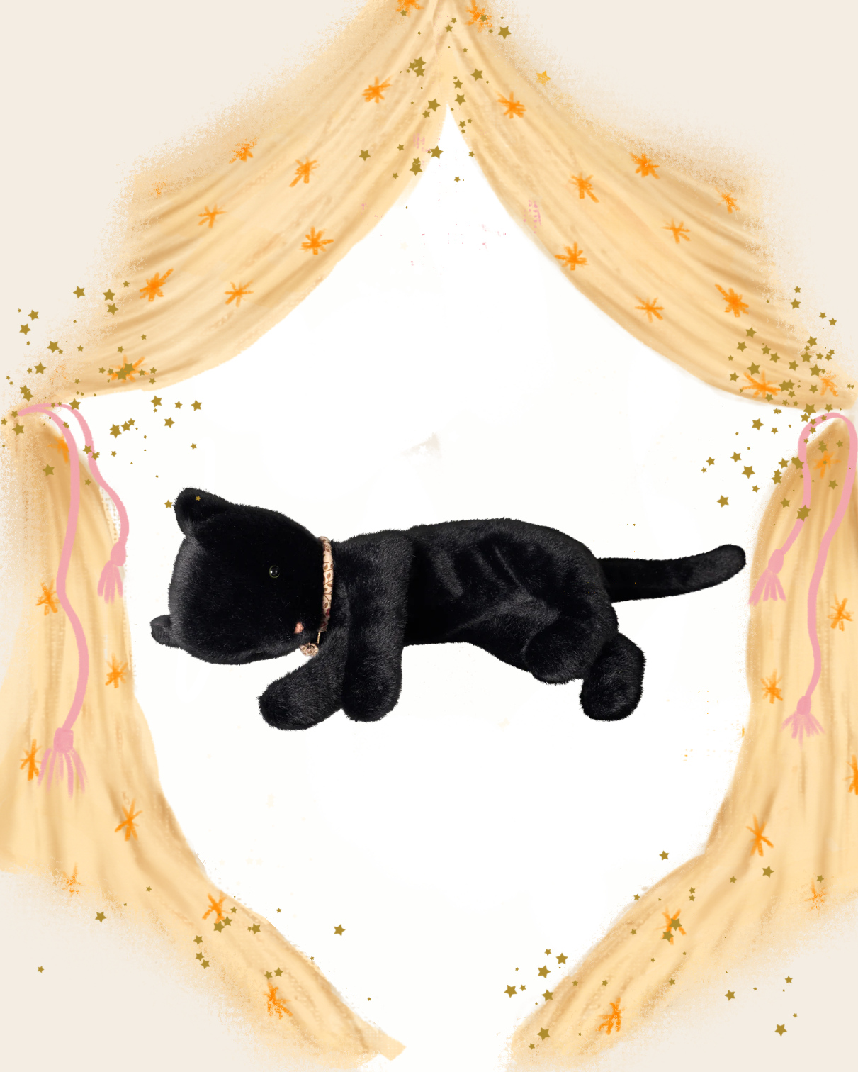 Black Sleeping Kitten