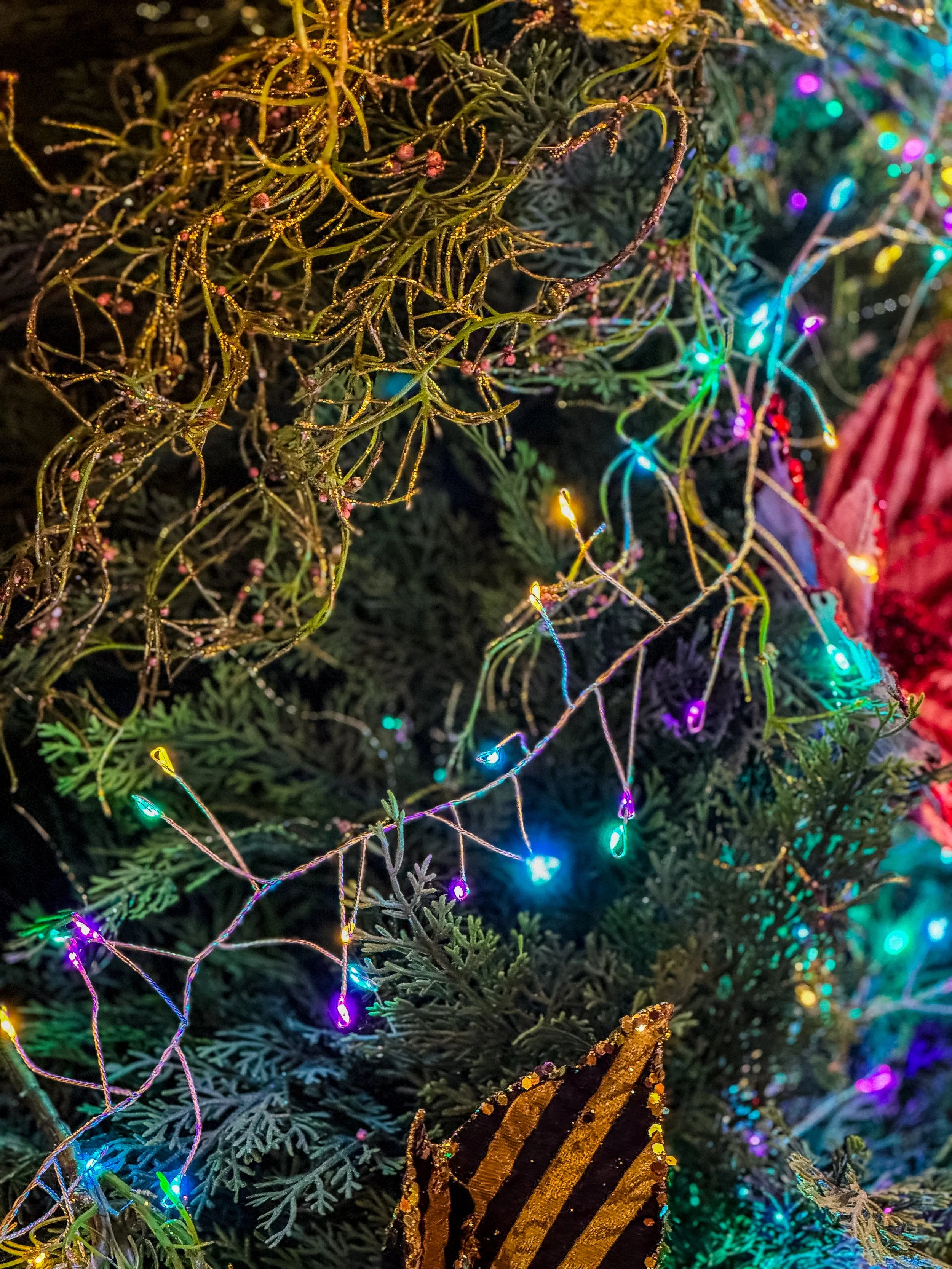 "Sugar Plum Fairy" Cluster Lights