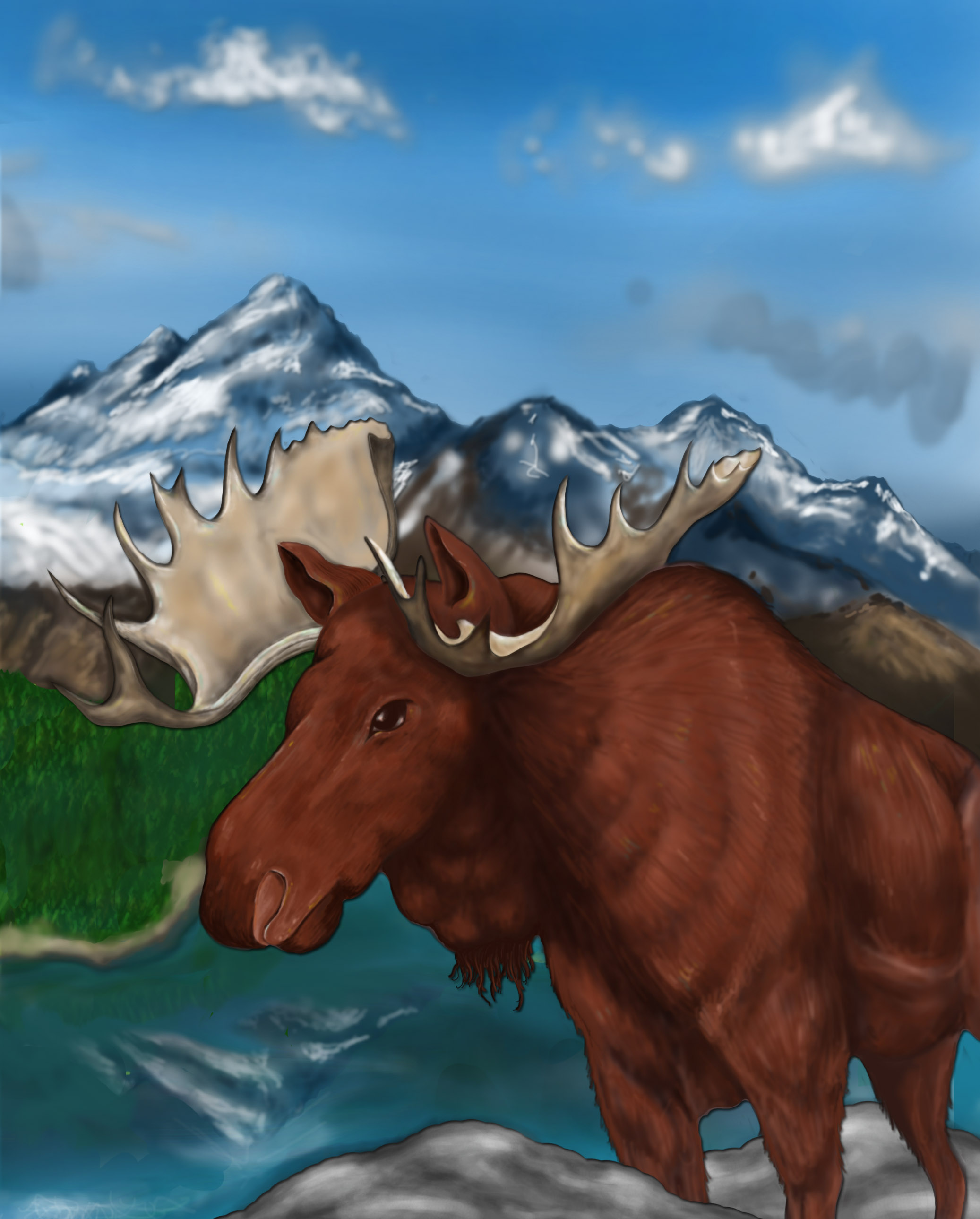 Moose.jpg