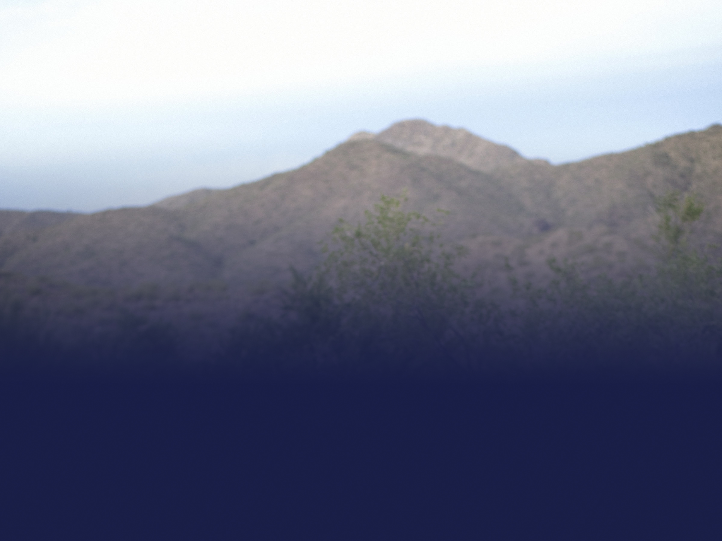 ld 23