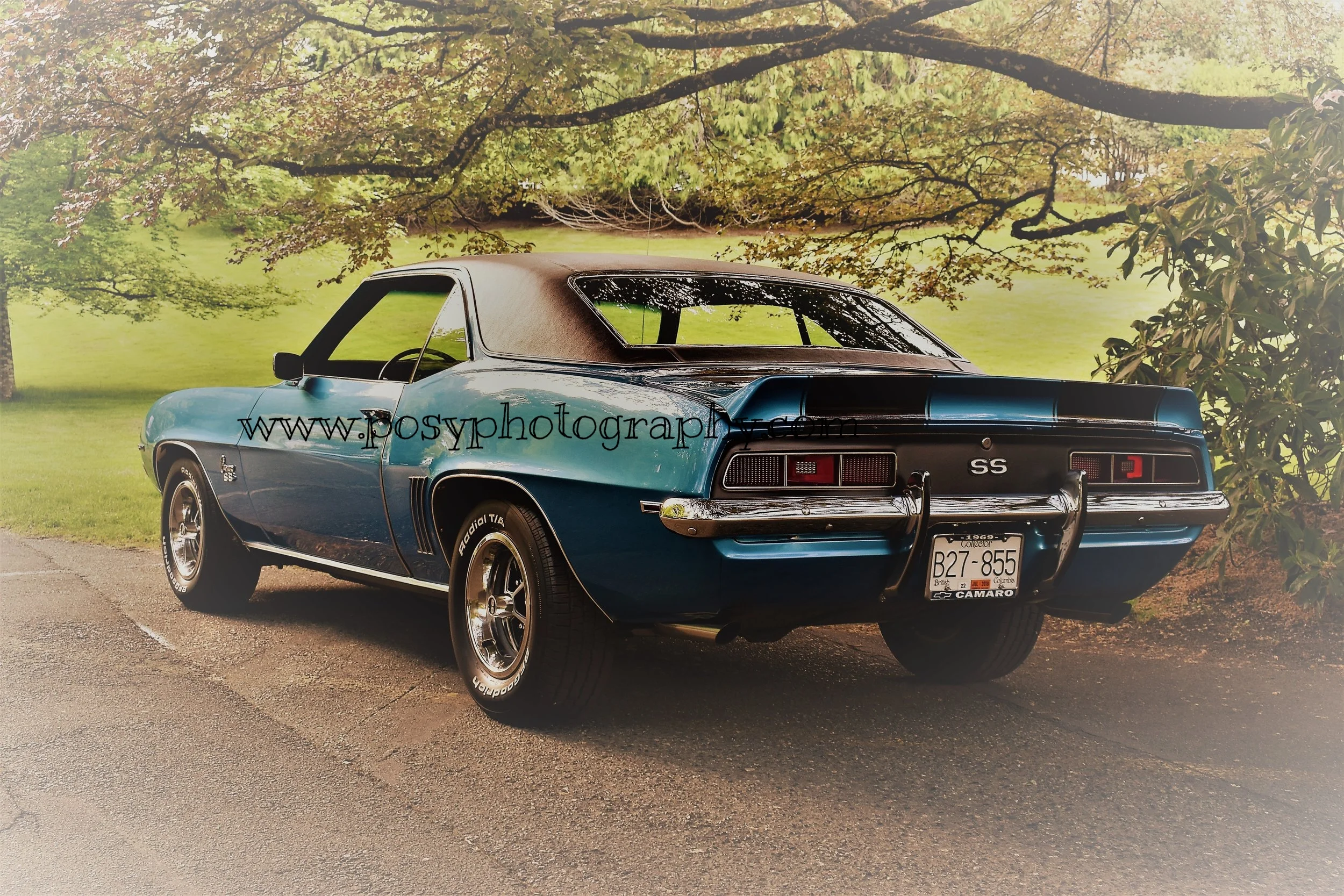 1969 Lemans blue Camaro