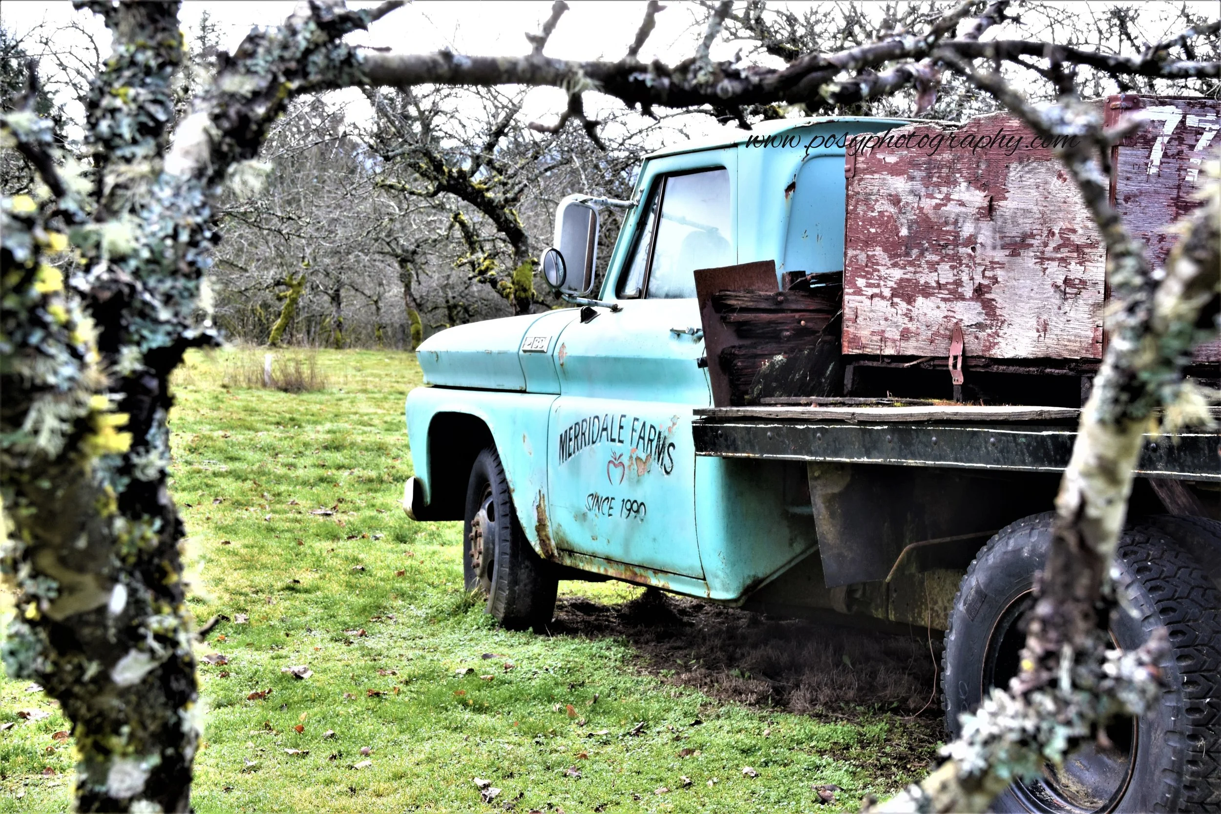 Cobble Hill, BC