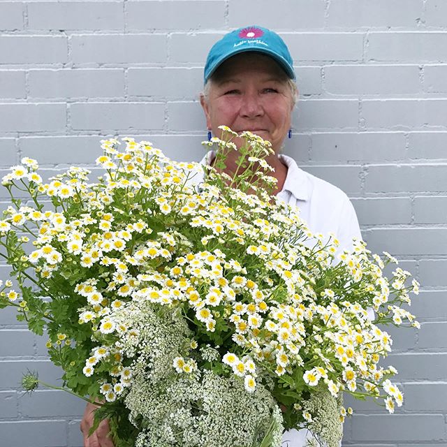Bunches of blooms for market! Wendy is getting better at having her picture taken for our Instagram. Usually she runs away when she sees a camera, but I'm convincing her she's perfect for pictures. A mixture of spring blooms are available this mornin