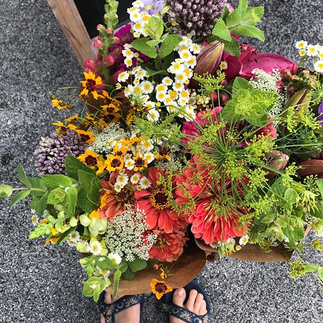 Farm update: Today due to rain we will not be setup @paintedhousetn for our usual pop-up. But this rain means next week we will have bunches of summer blooms ready for pickup!