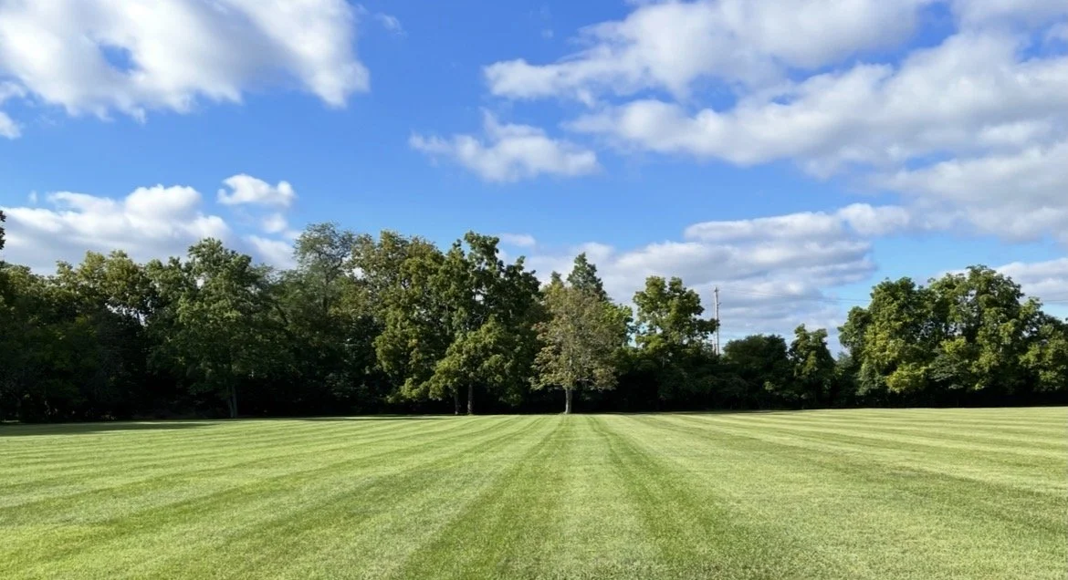Field.jpeg