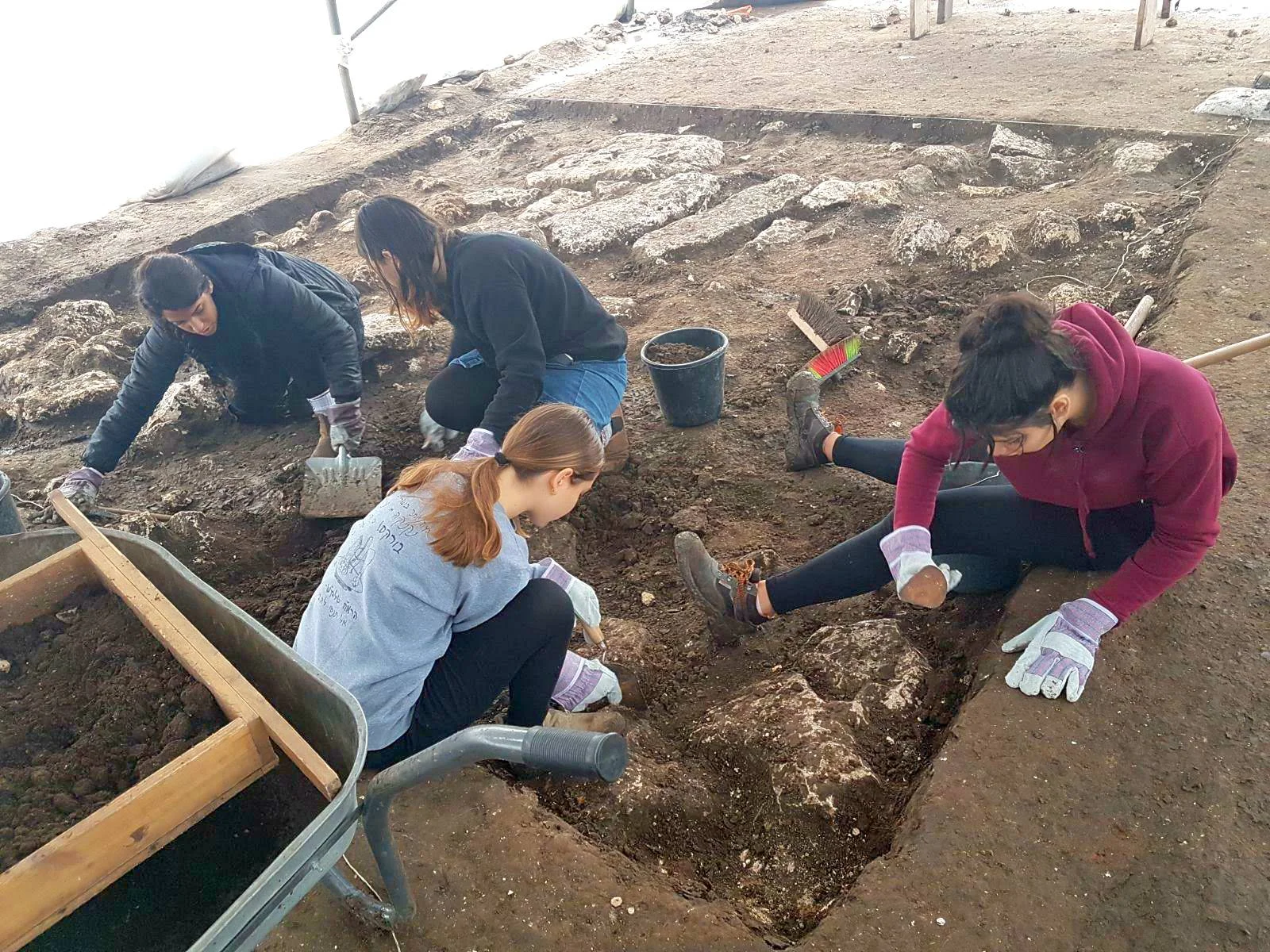New Volunteer Dig Program Starting in the Fall