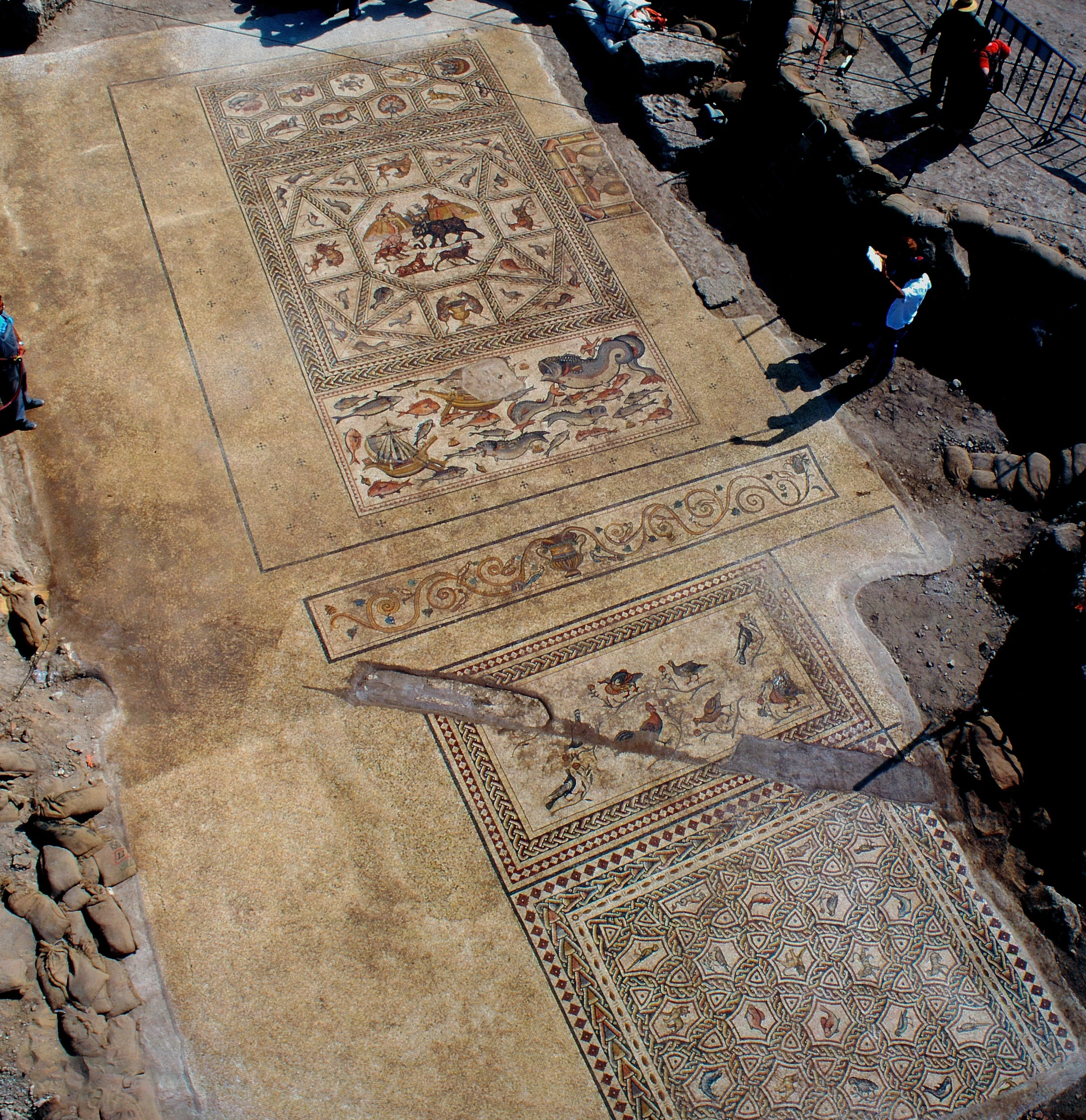 The Lod mosaic that was uncovered in 1996, and was exhibited world-wide. Photo: IAA