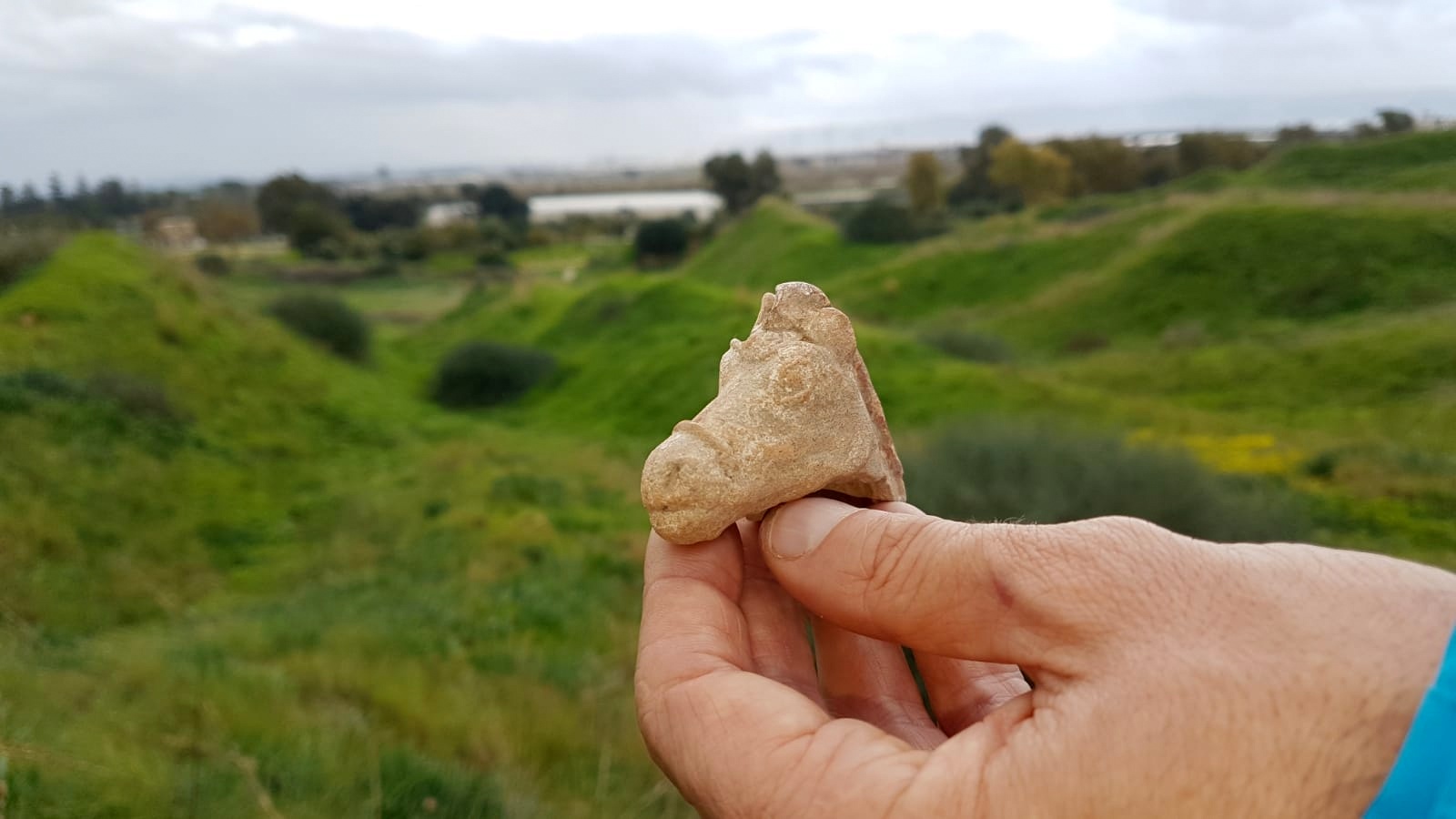 A horse figurine from the Hellenistic period found in Tel Akko. Photo: Nir Distelfeld