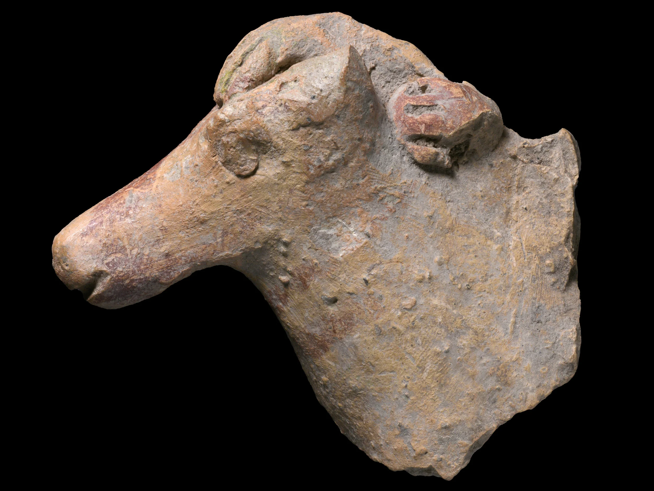 The Iron Age horse figurine and its rider’s hand. Photo: Clara Amit, Israel Antiquities Authority