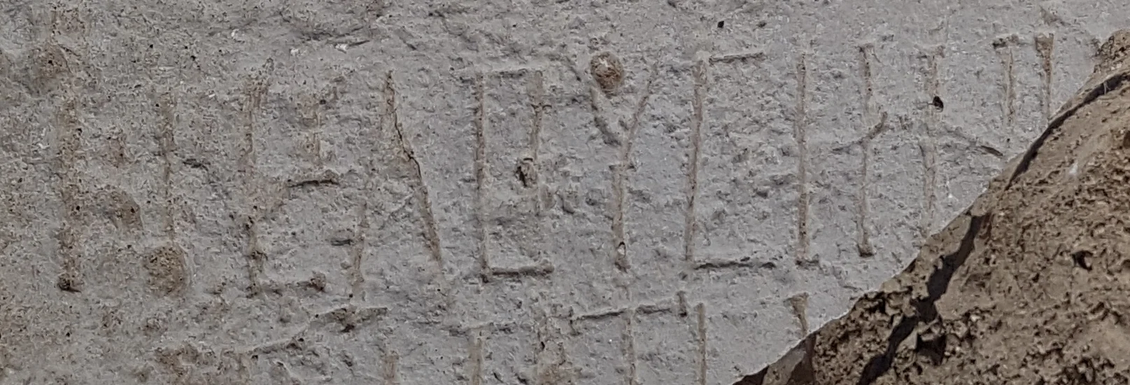 The Greek inscription bearing the name Elusa. Photo: Tali Erickson-Gini, IAA