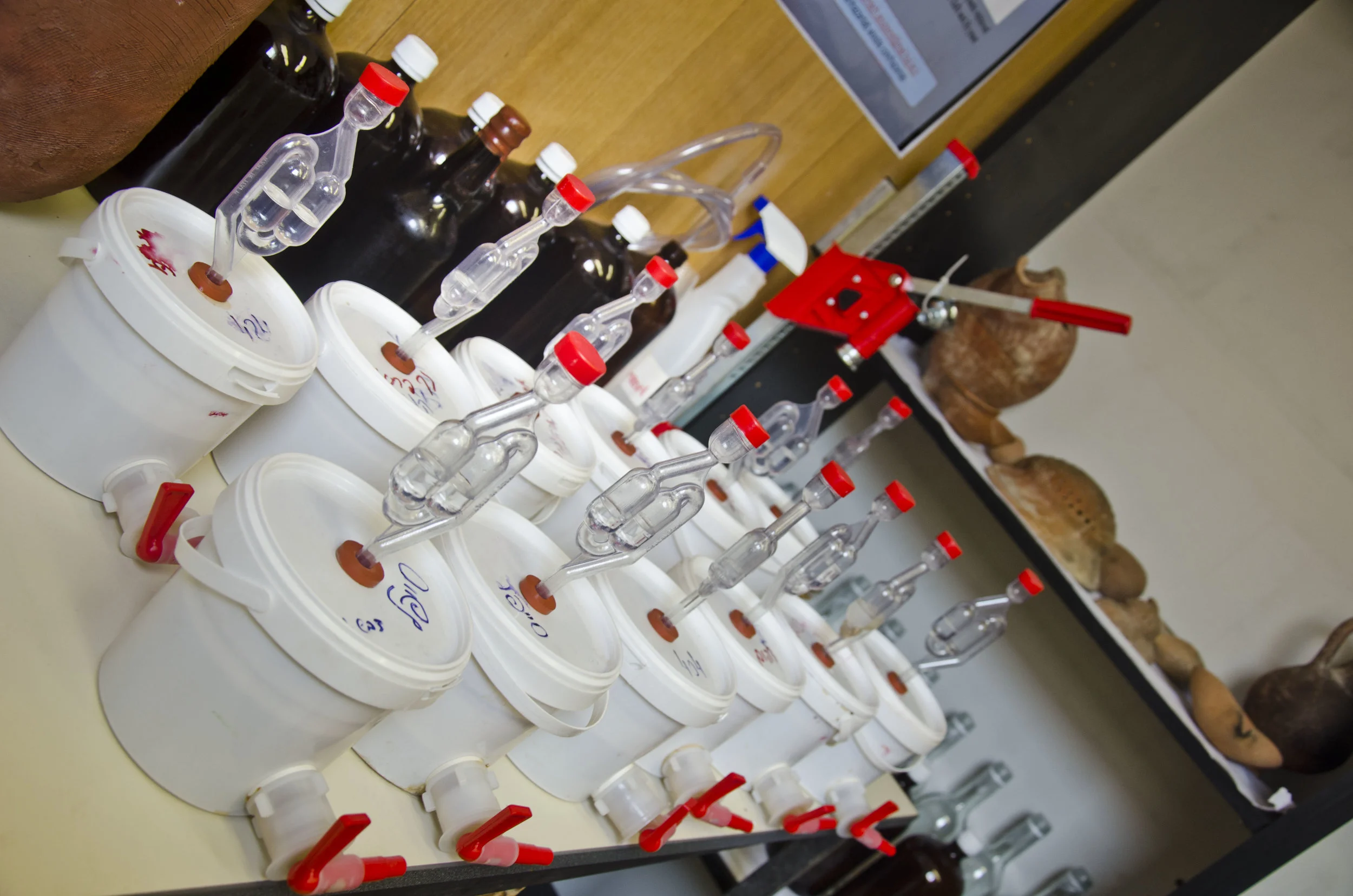 The experimental instruments in the laboratories from which the beer was produced. Photo: Yaniv Berman, courtesy of the IAA.