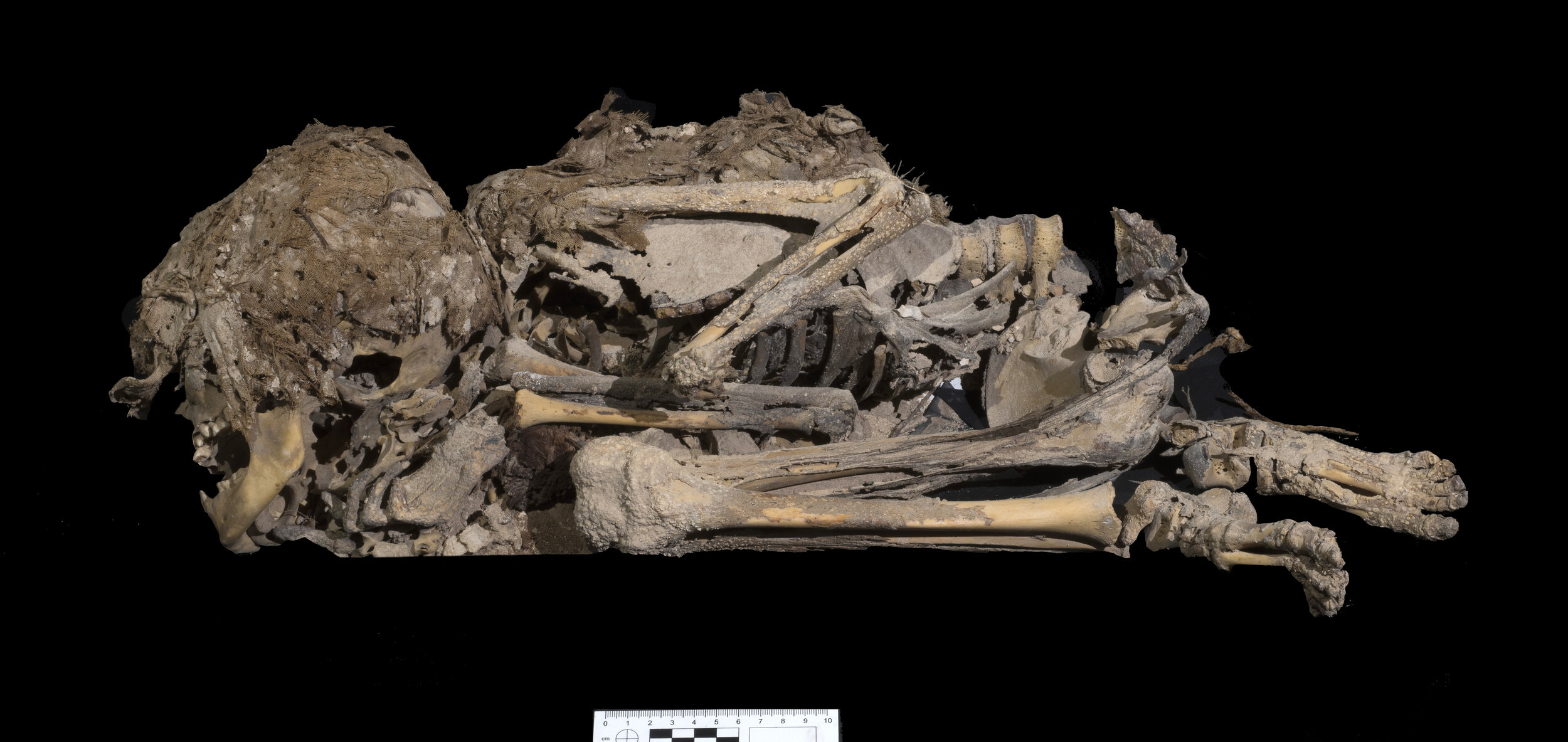 27-6000 years skeleton. Photo-Clara Amit Israel Antiquities Authority.jpg
