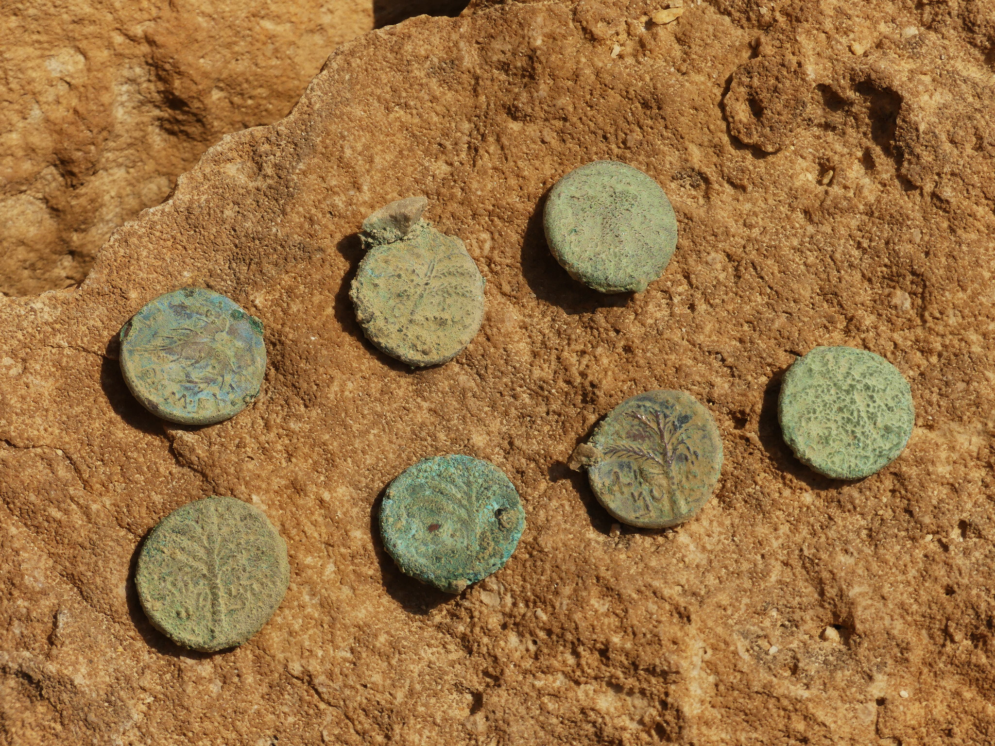 39.Bar Kochva Rebbel Cache- Ofer Sion Israel Antiquities Authority.jpg