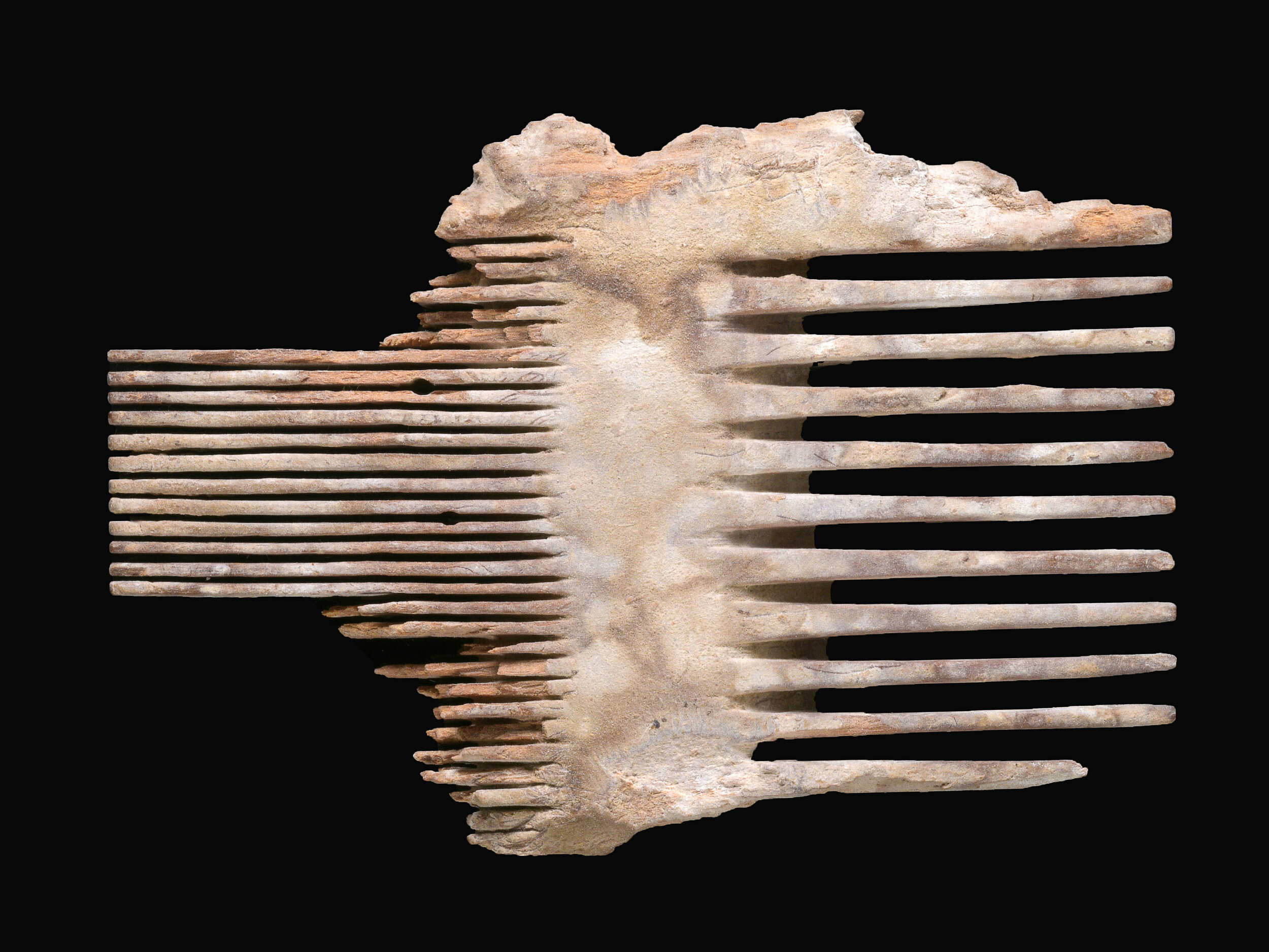 43.lice comb-Clara Amit Israel Antiquities Authority.jpg