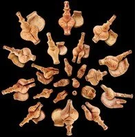 Private guided tour of Ritual and Memory at the Institute for the Study of the Ancient World (NYC)