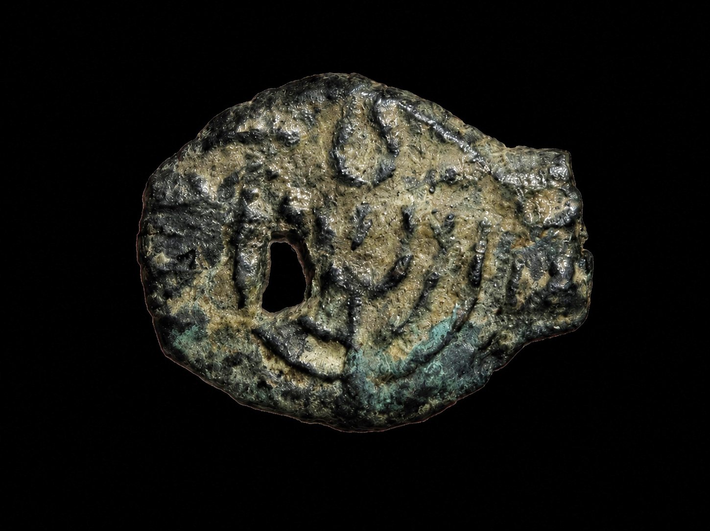Following a joint investigation: Rare ancient coins were returned from the USA to the State of Israel
