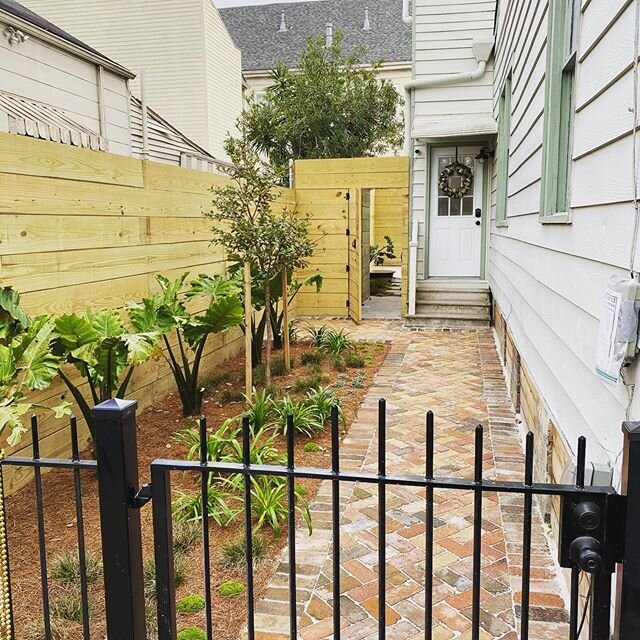 Super cool little side yard and secluded courtyard project is all wrapped up! #nola #uptown #gardendistrict #sugarkettle #sucustomlandscapes