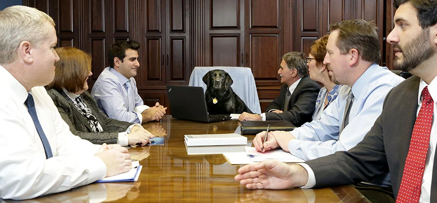 The Pangere Team and Hope At the Boardroom Table