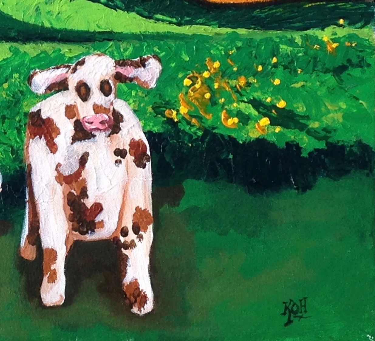 normandy cow