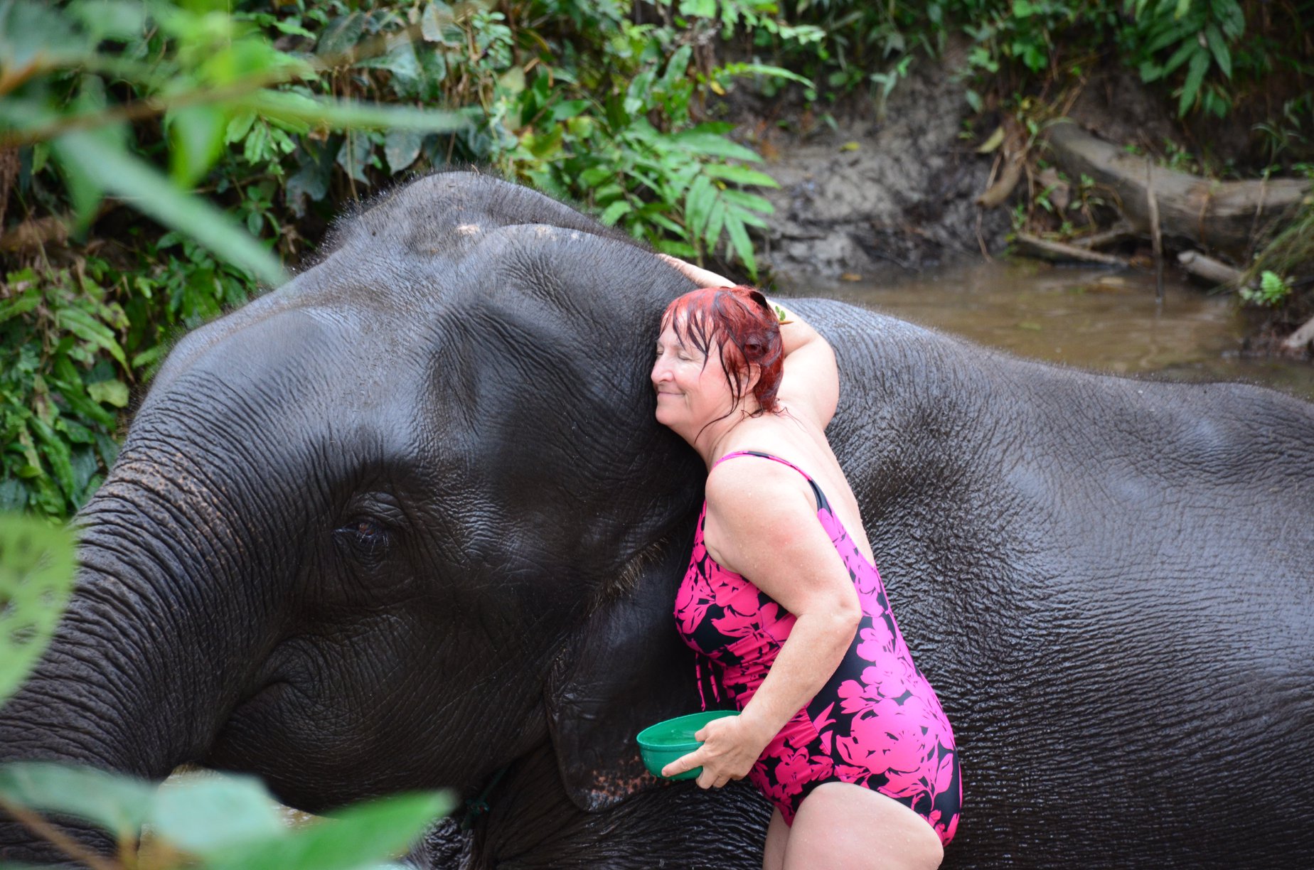 elephant love.jpg