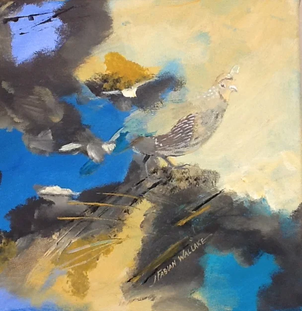Elusive Quail.jpg