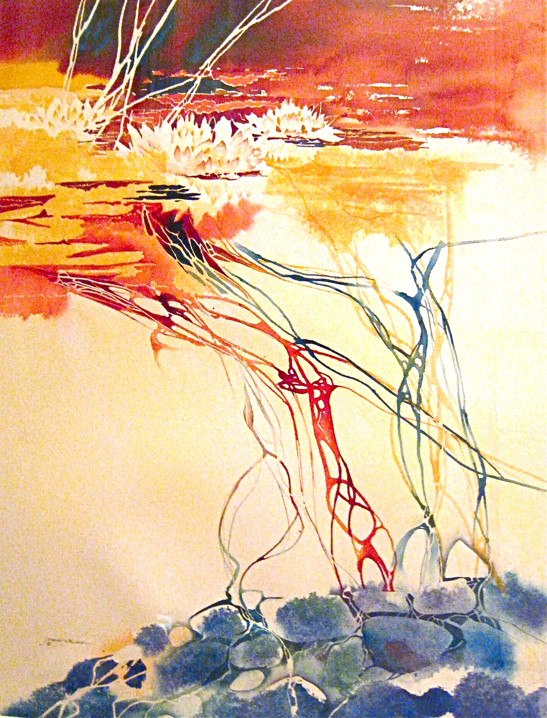 Lily Pond.JPG