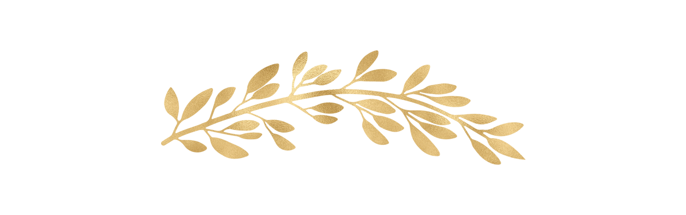 Divider.png