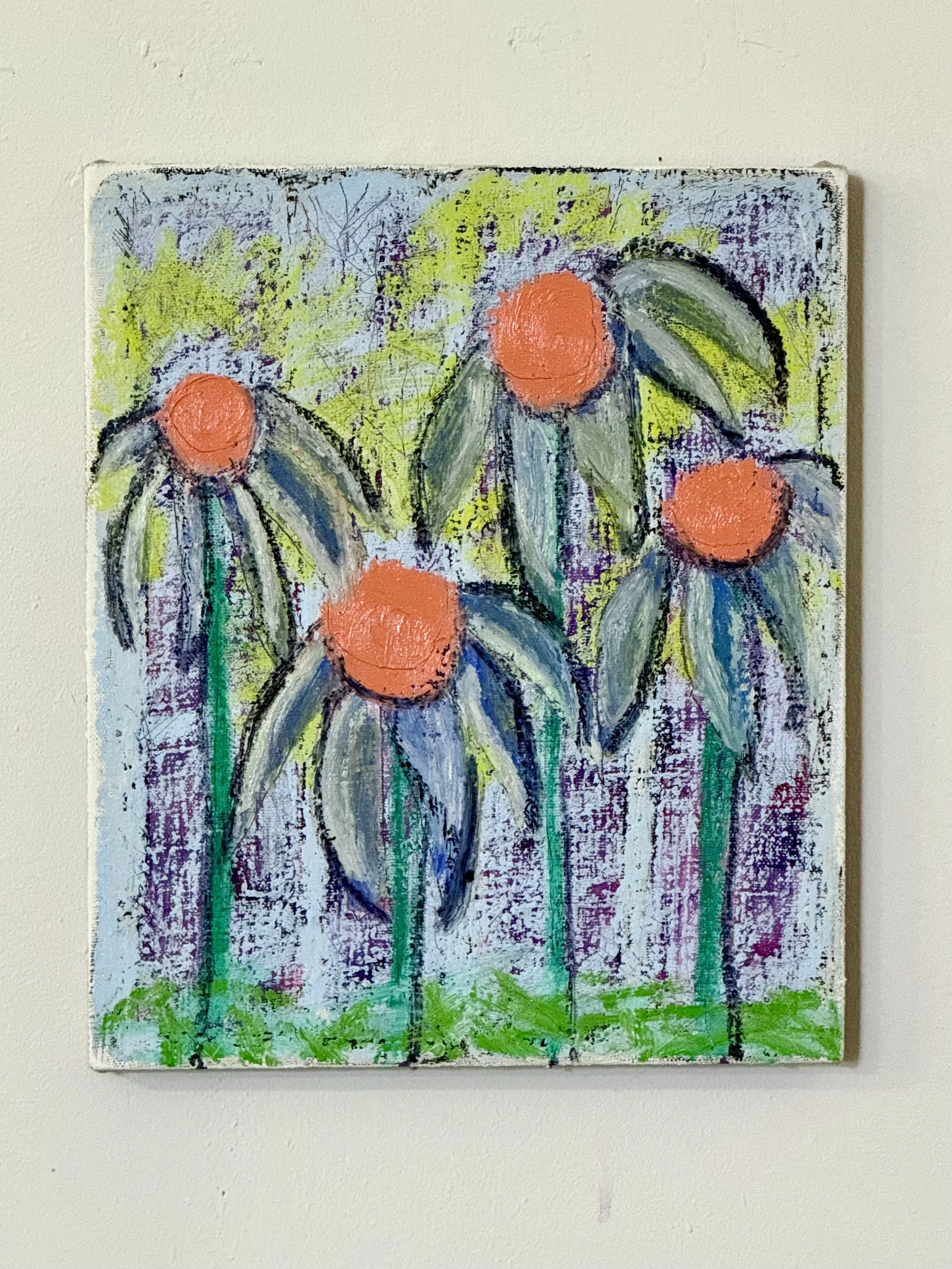 Pushing Daisies