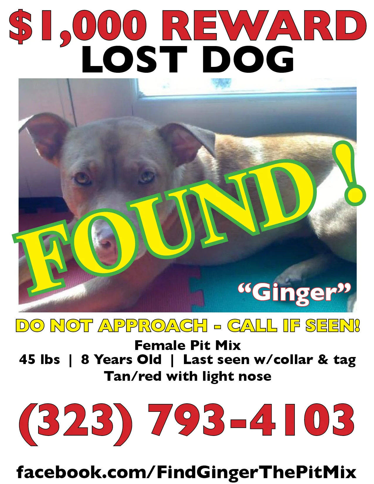 Ginger Reward poster_found.jpg