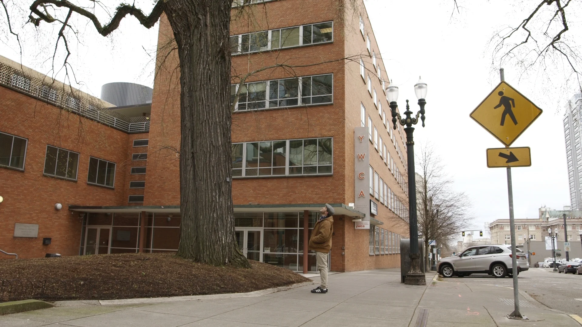 RosasTree-04.jpg