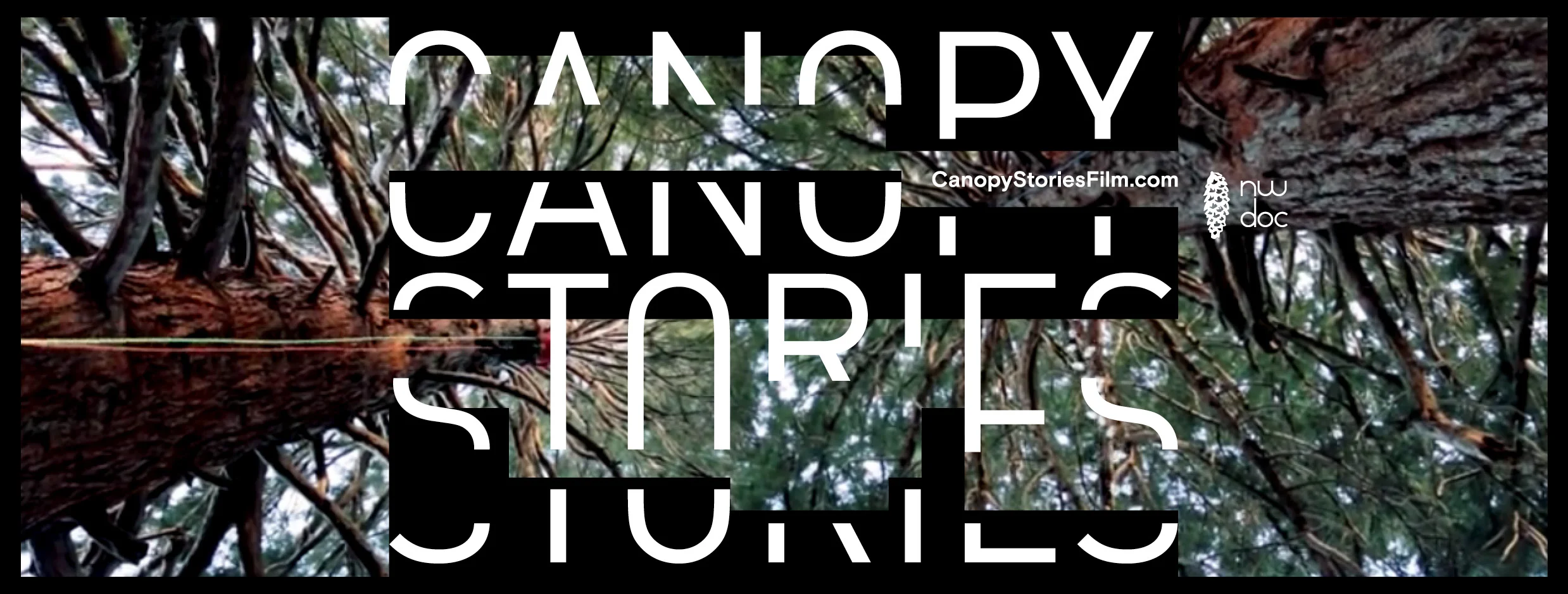 CanopyStories-FacebookCanvas13.jpg