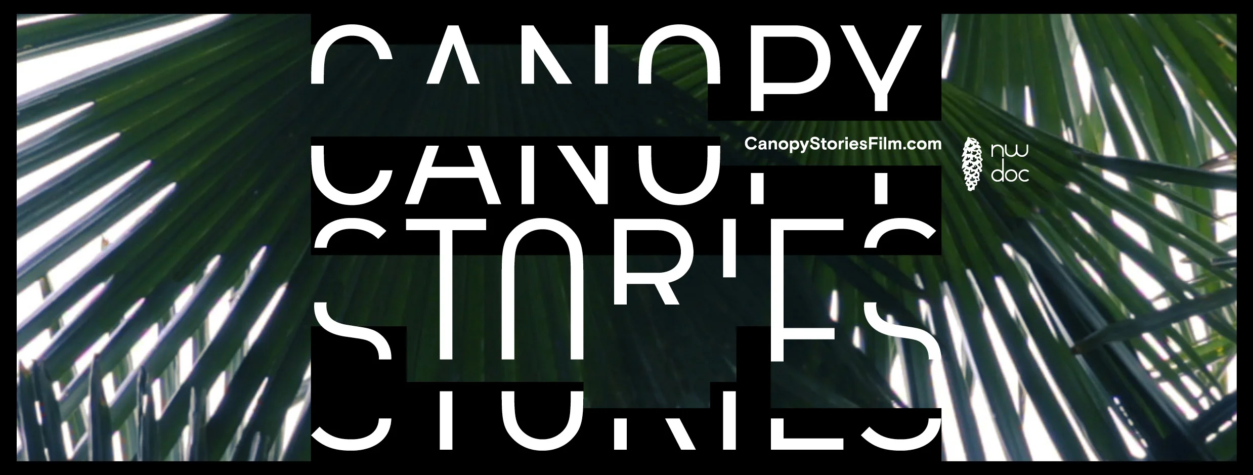 CanopyStories-FacebookCanvas3.jpg