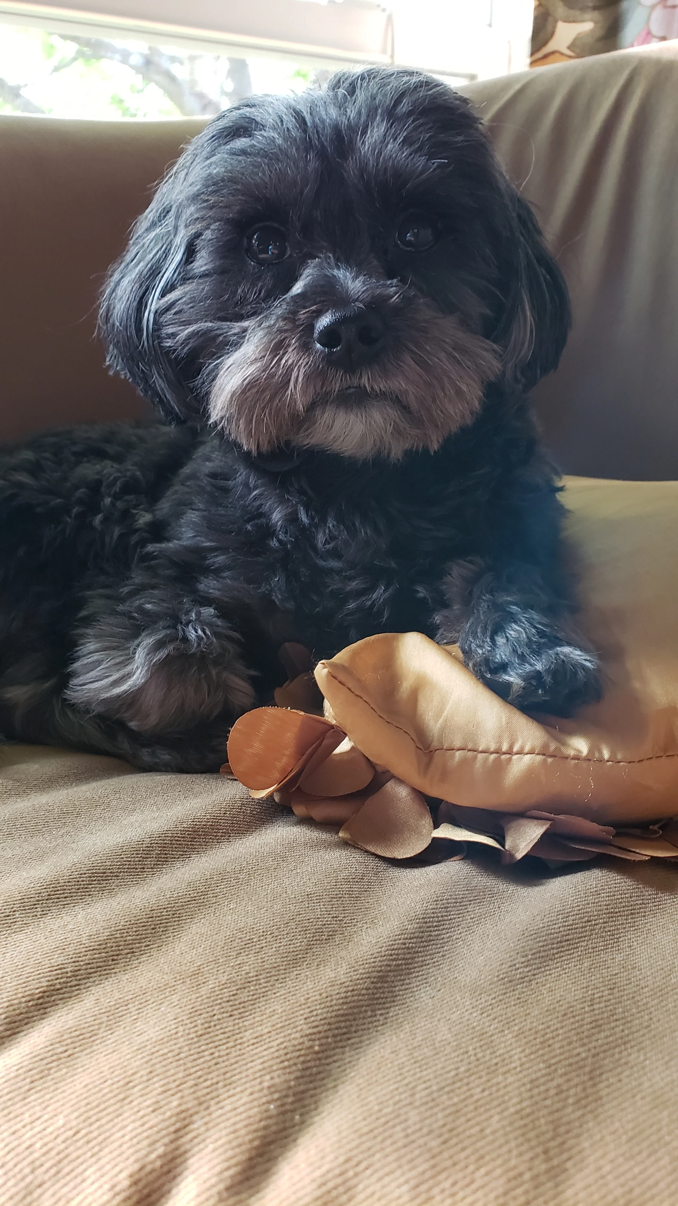 20190425_183513.jpg