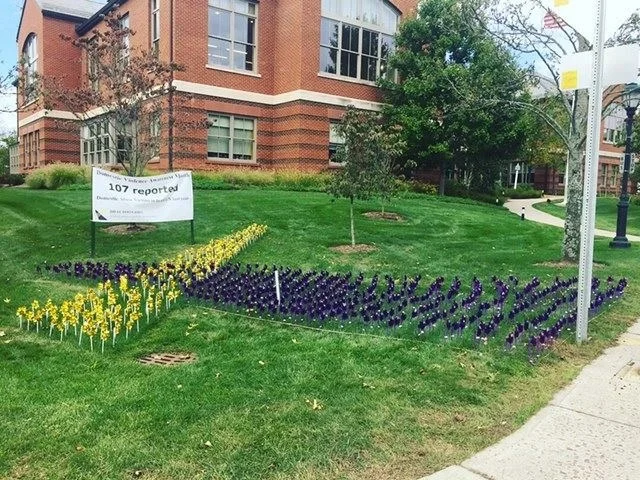 pinwheels DDAC.jpg