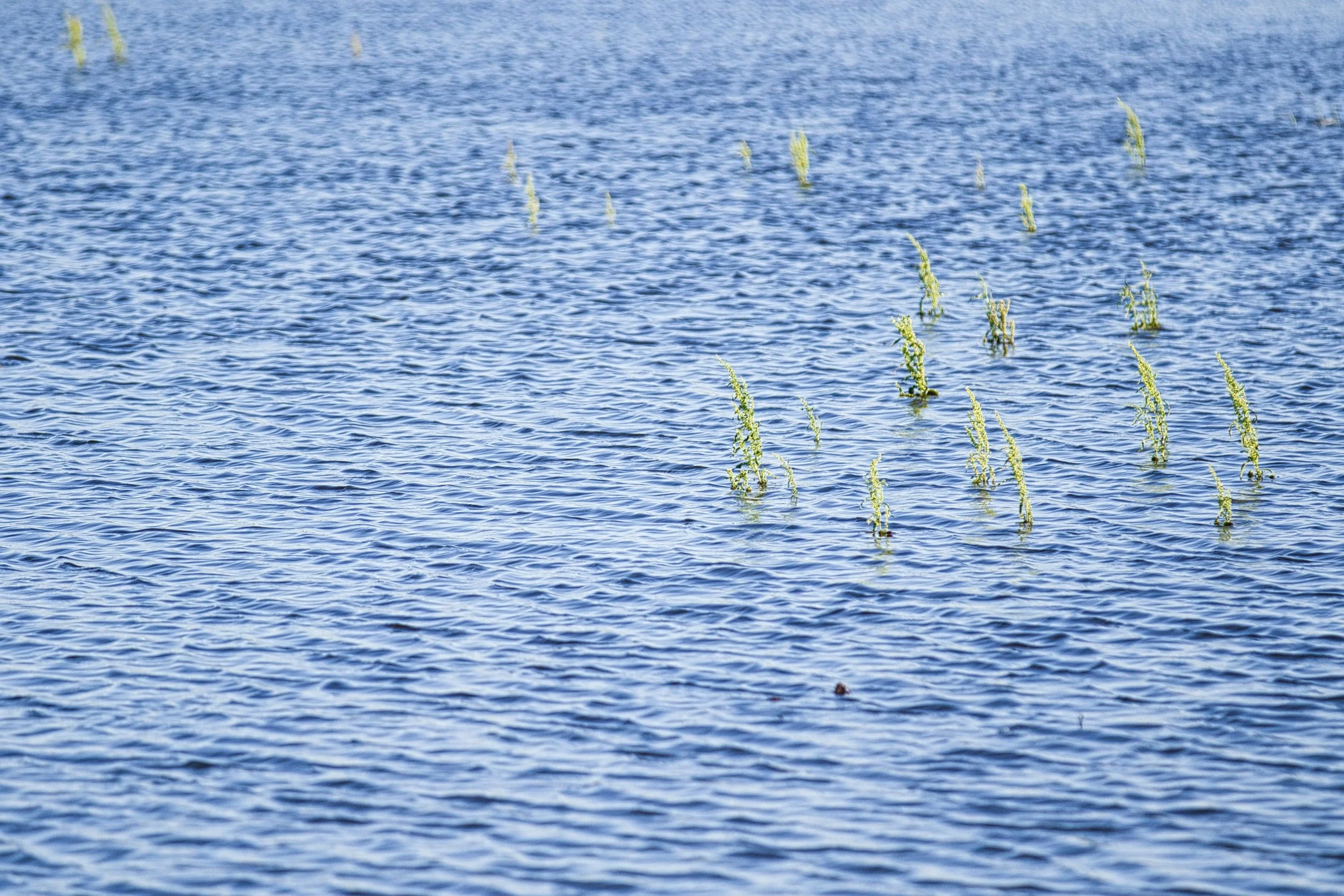 Pond Construction in Oklahoma: 5 Key Steps to Get It Right