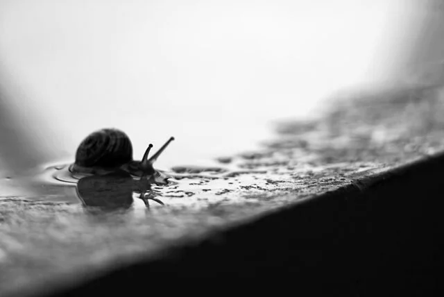 Slowing Down On Purpose